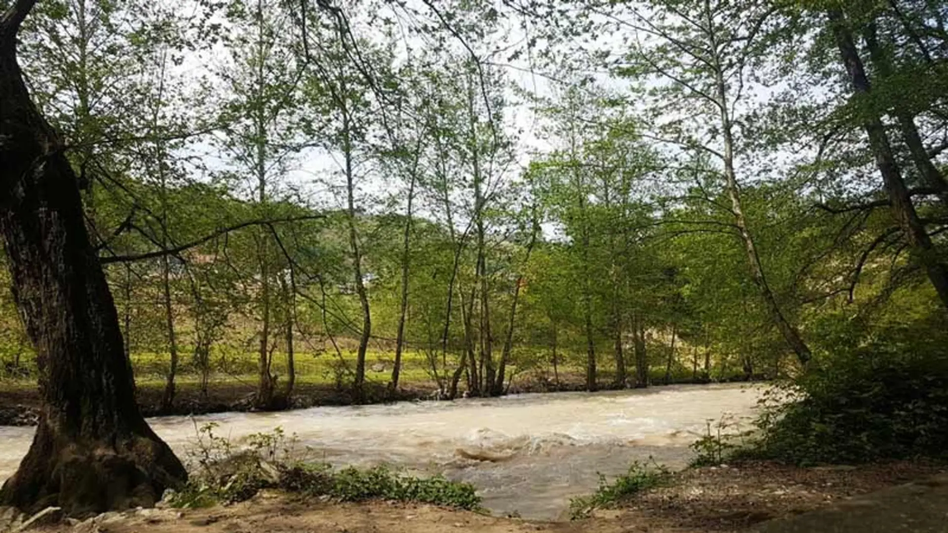 طبیعت پارک جنگلی فین چالوس