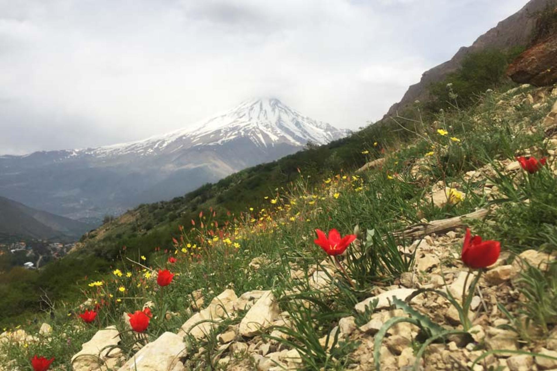 چشم‌انداز زیبا در طبیعت روستای نوا