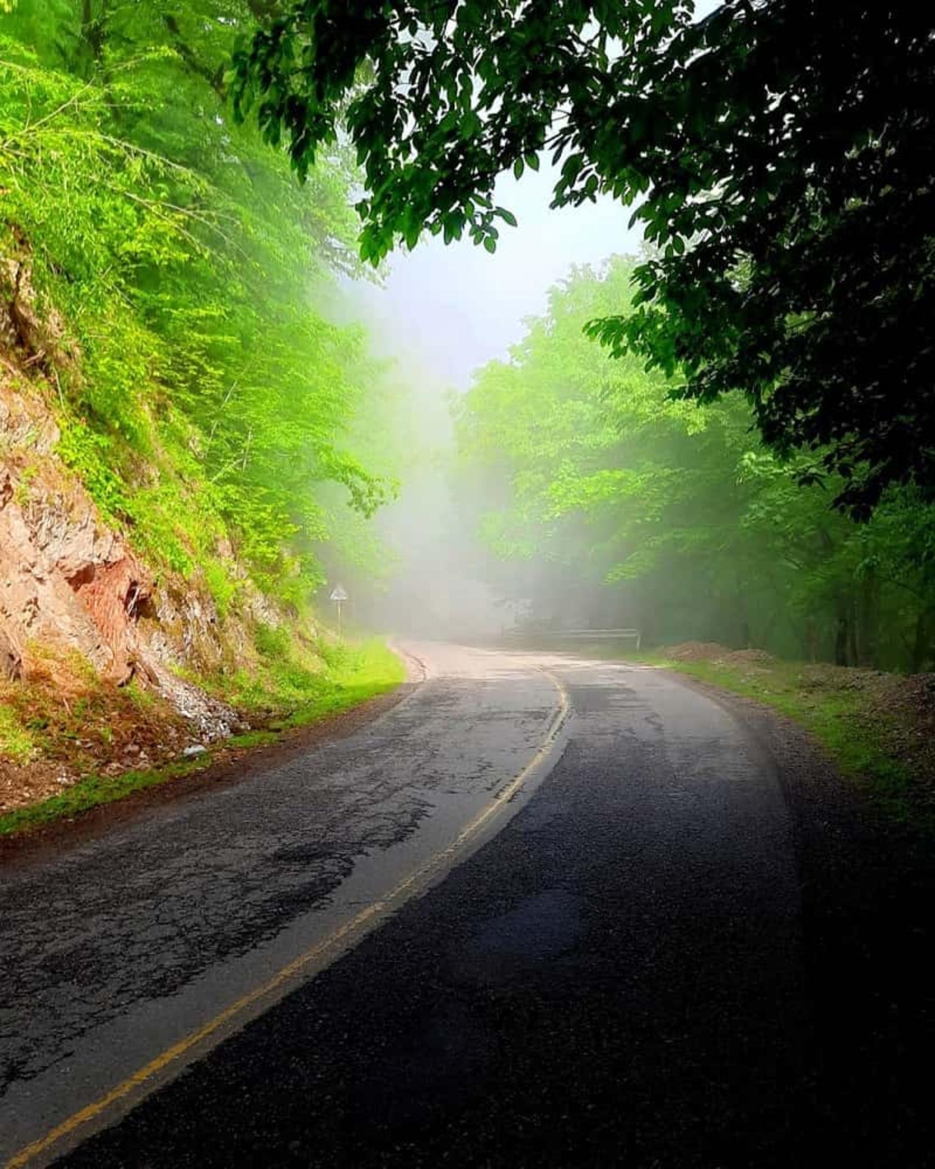 جاده زیبای دالخانی