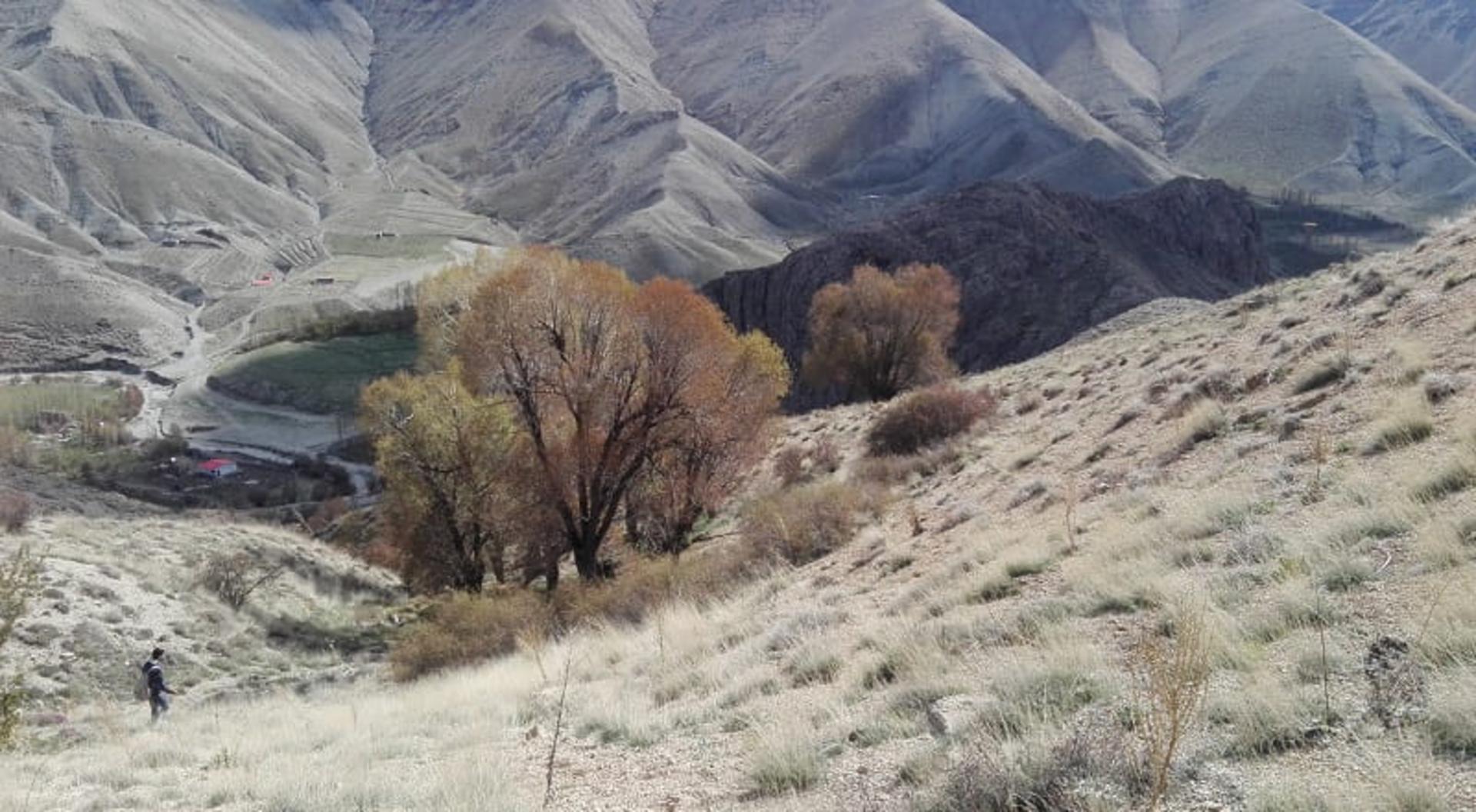 روستای اندریه