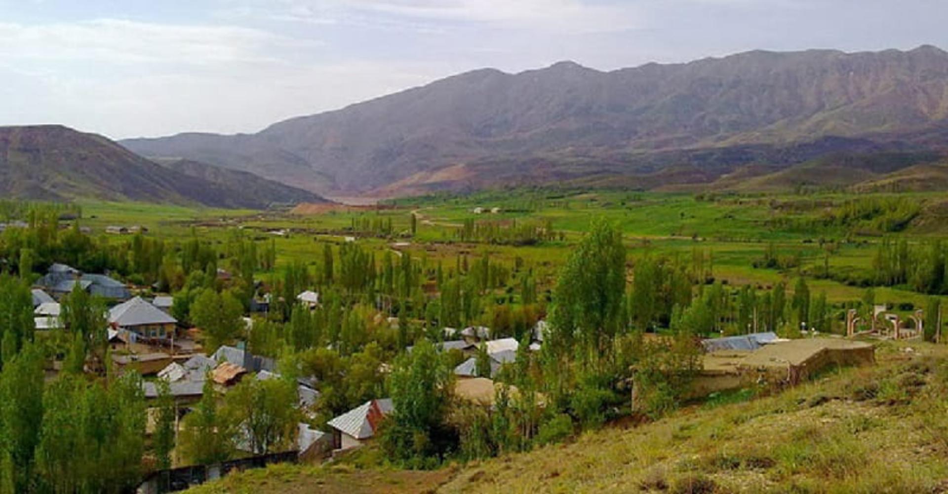 درختان روستای سله بن