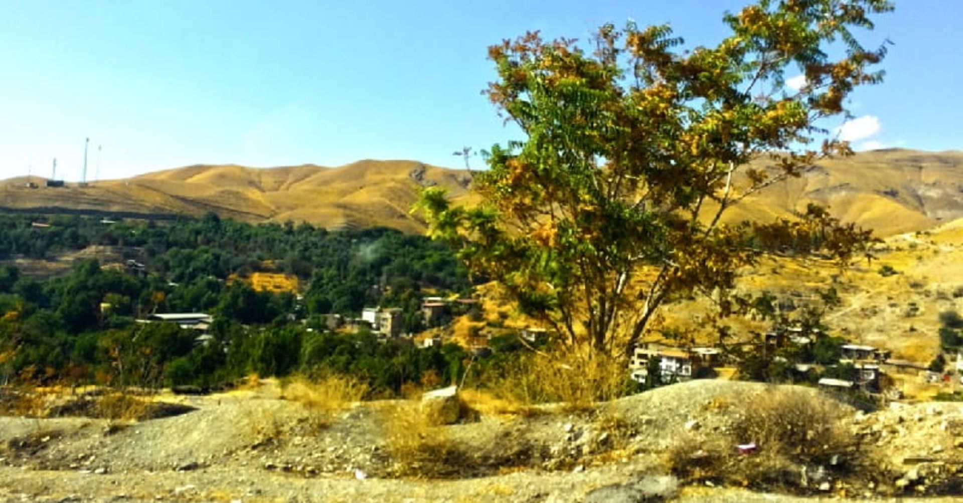 تابستان برغان