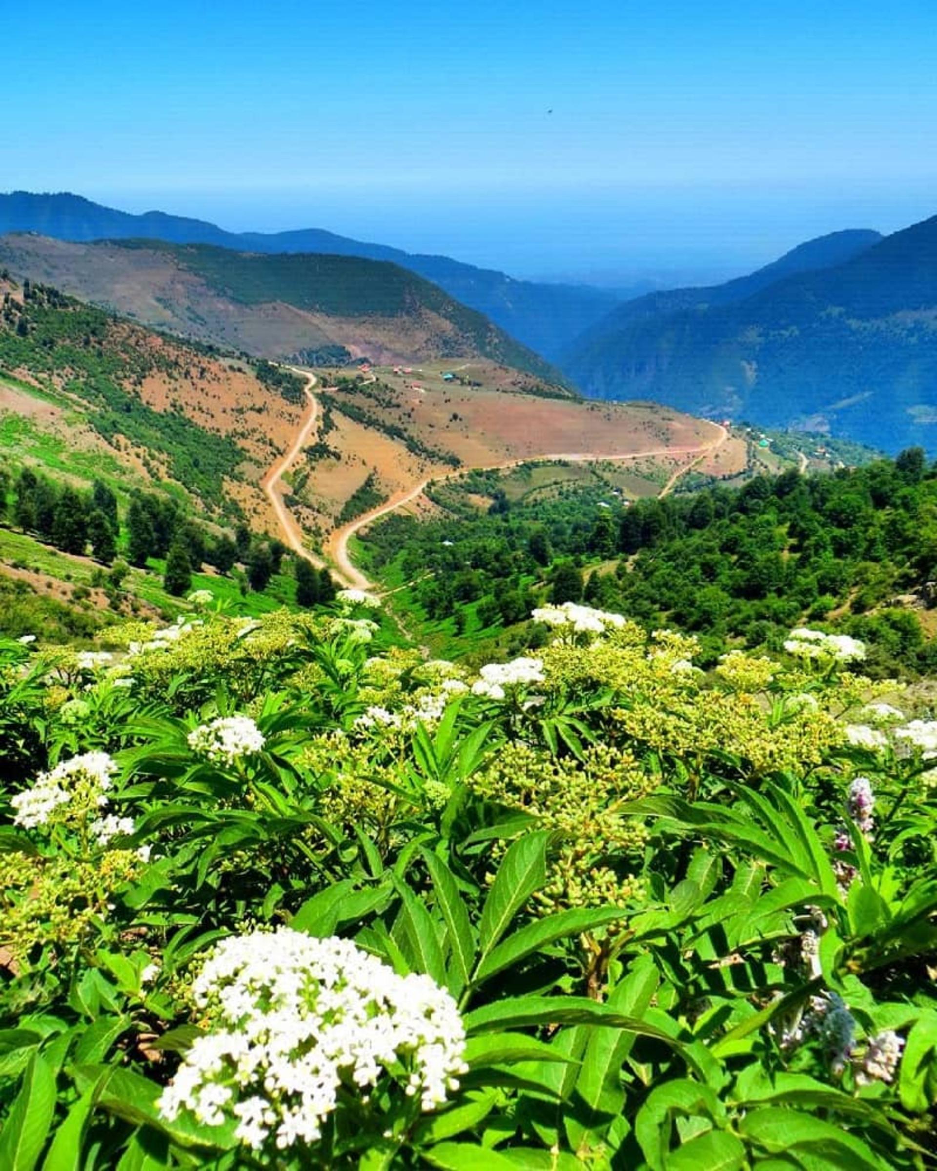 منظره از آغوزکی
