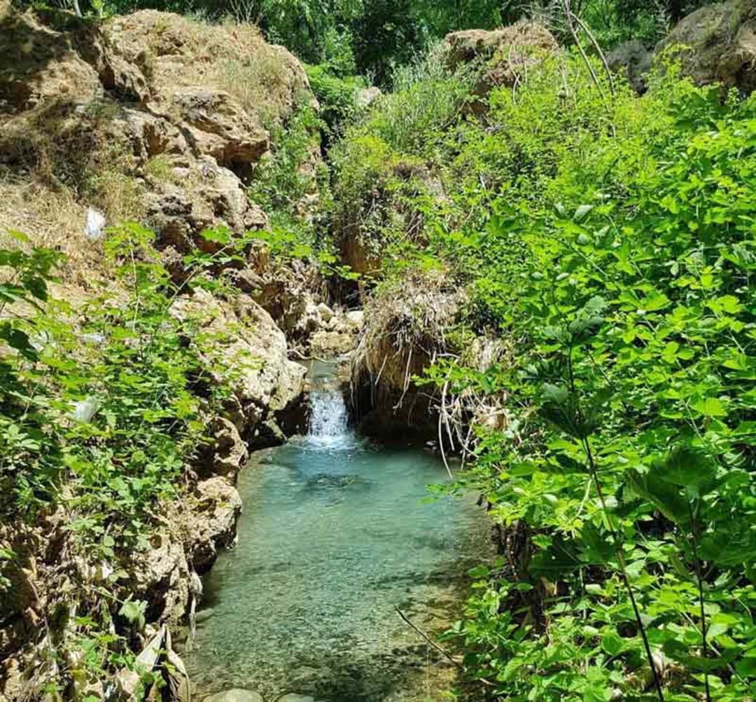 درختان سرسبز اطراف رودخانه روستای دشتک
