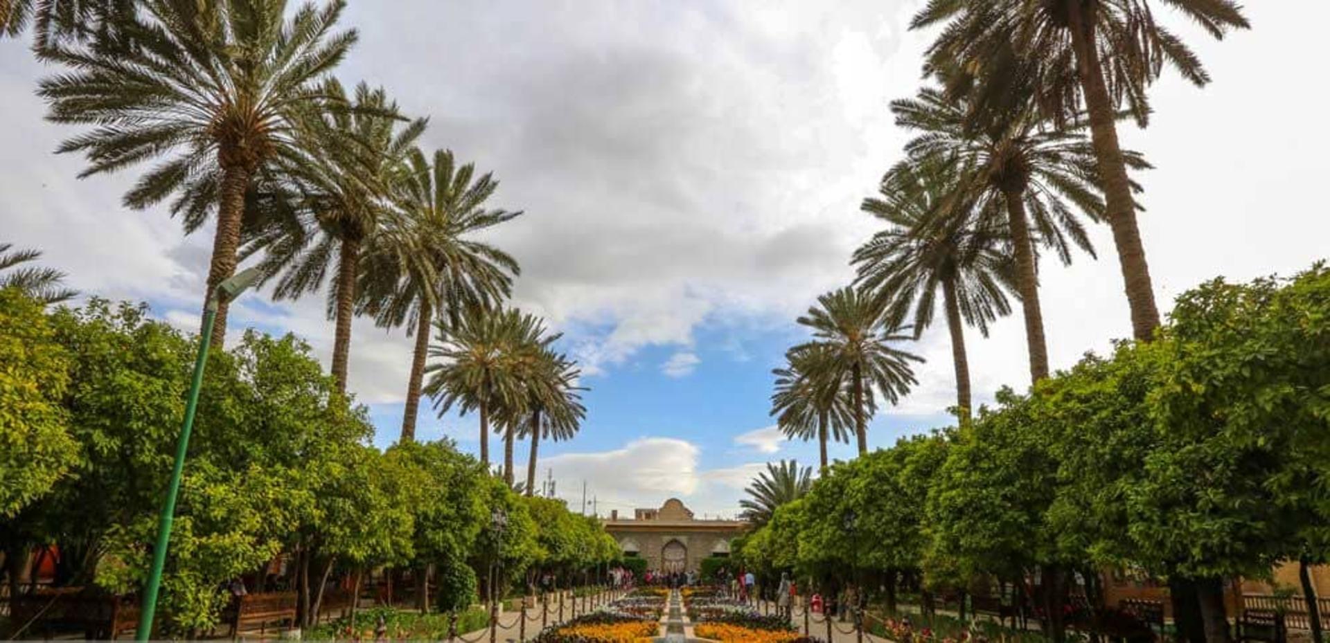 درختان نخل باغ نارنجستان 
