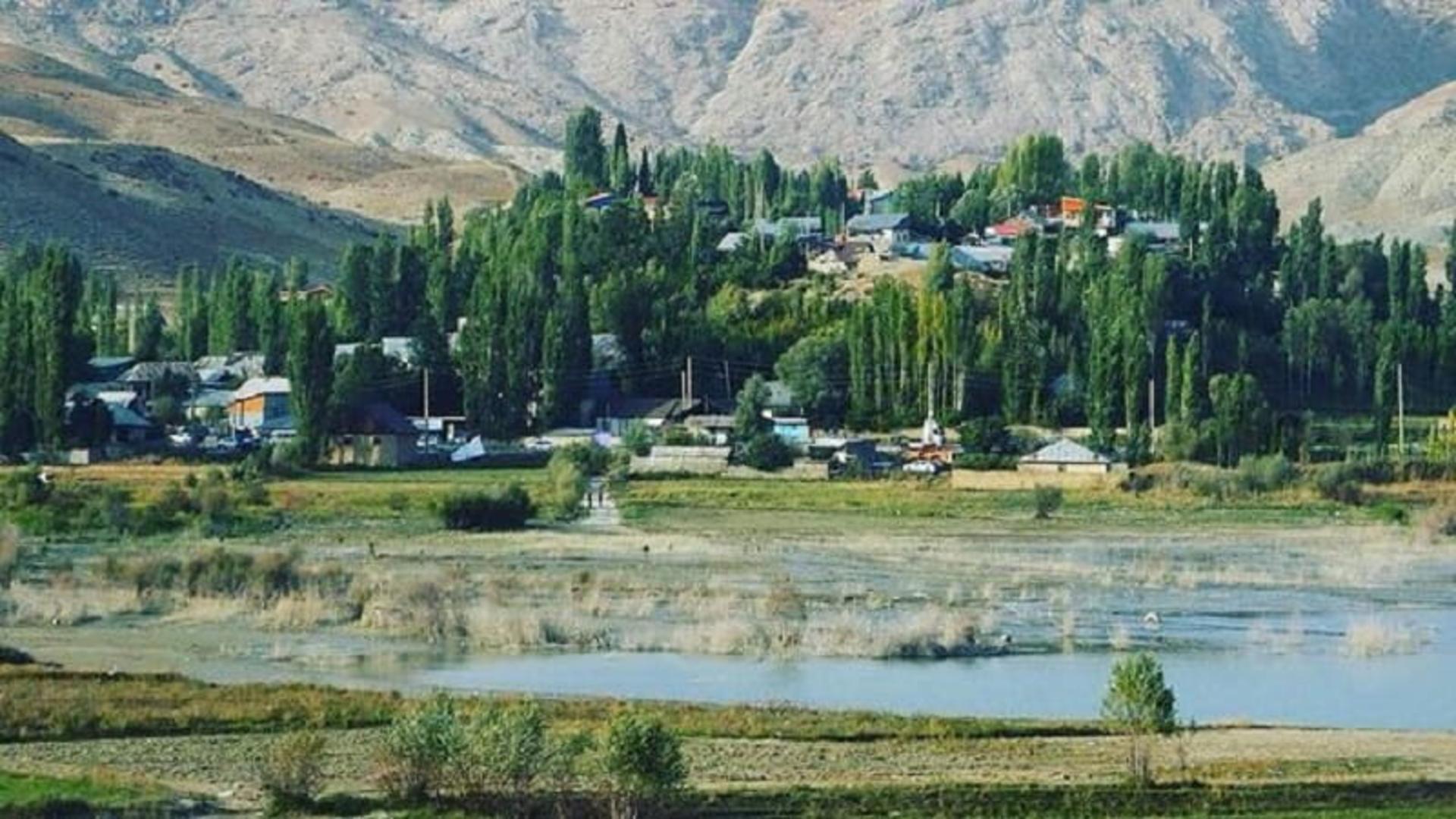 طبیعت سرسبز روستای سله بن