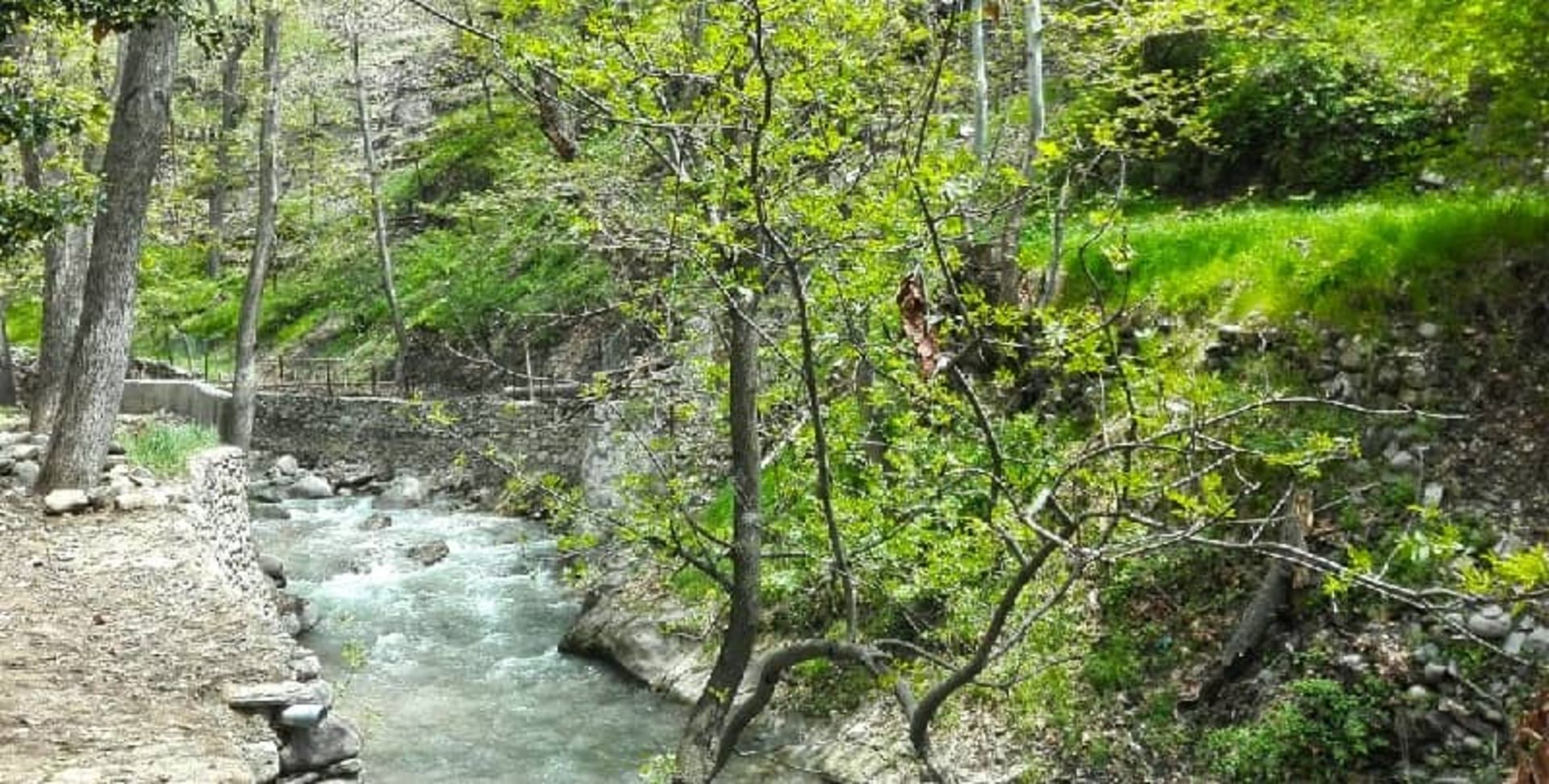رودخانه برغان