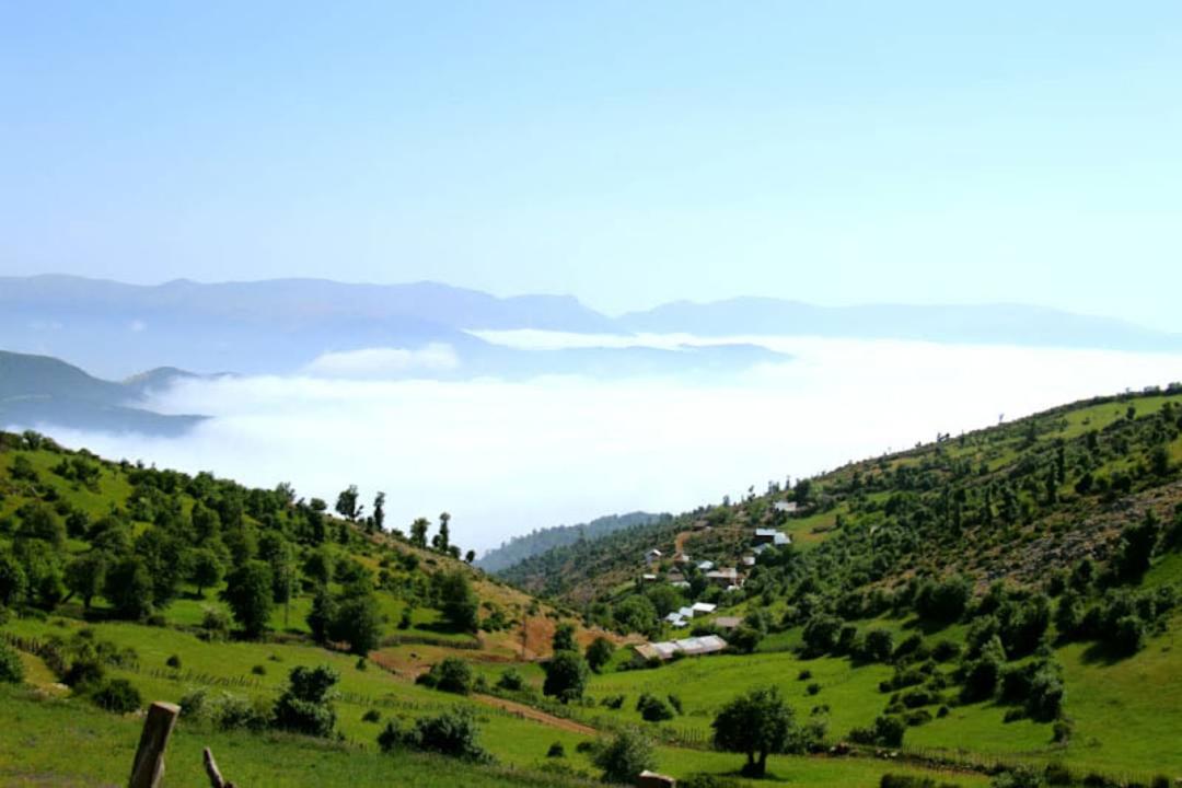طبیعت سرسبز قله درفک