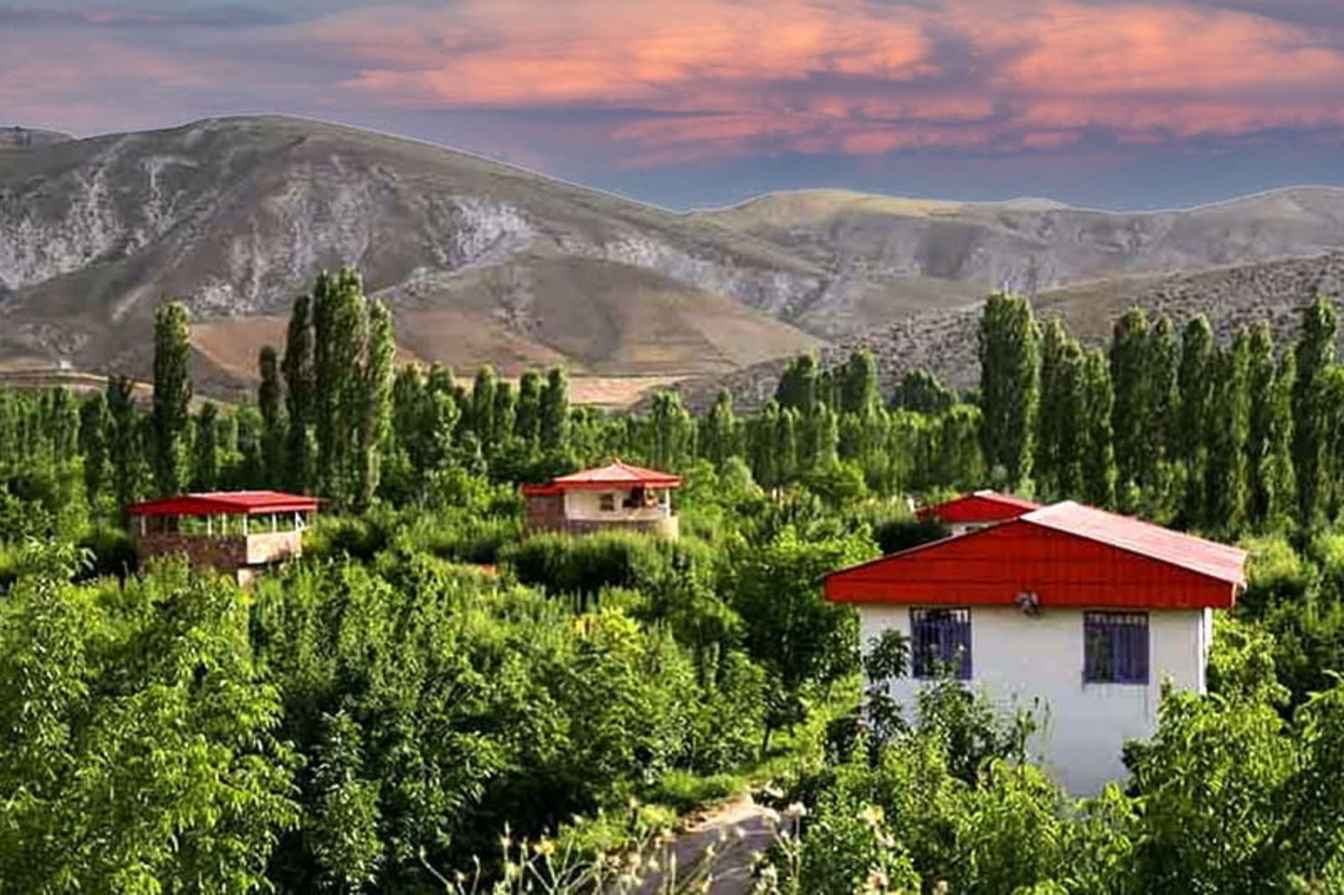 کردان