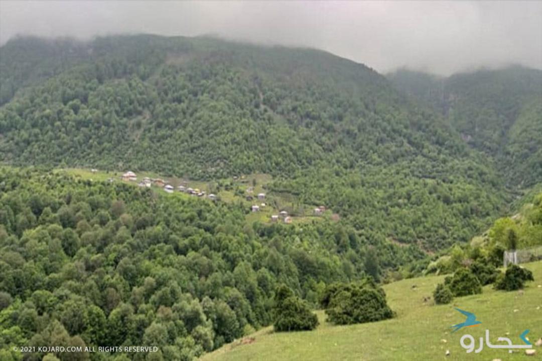 طبیعت سرسبز جنگل دو هزار و سه هزار