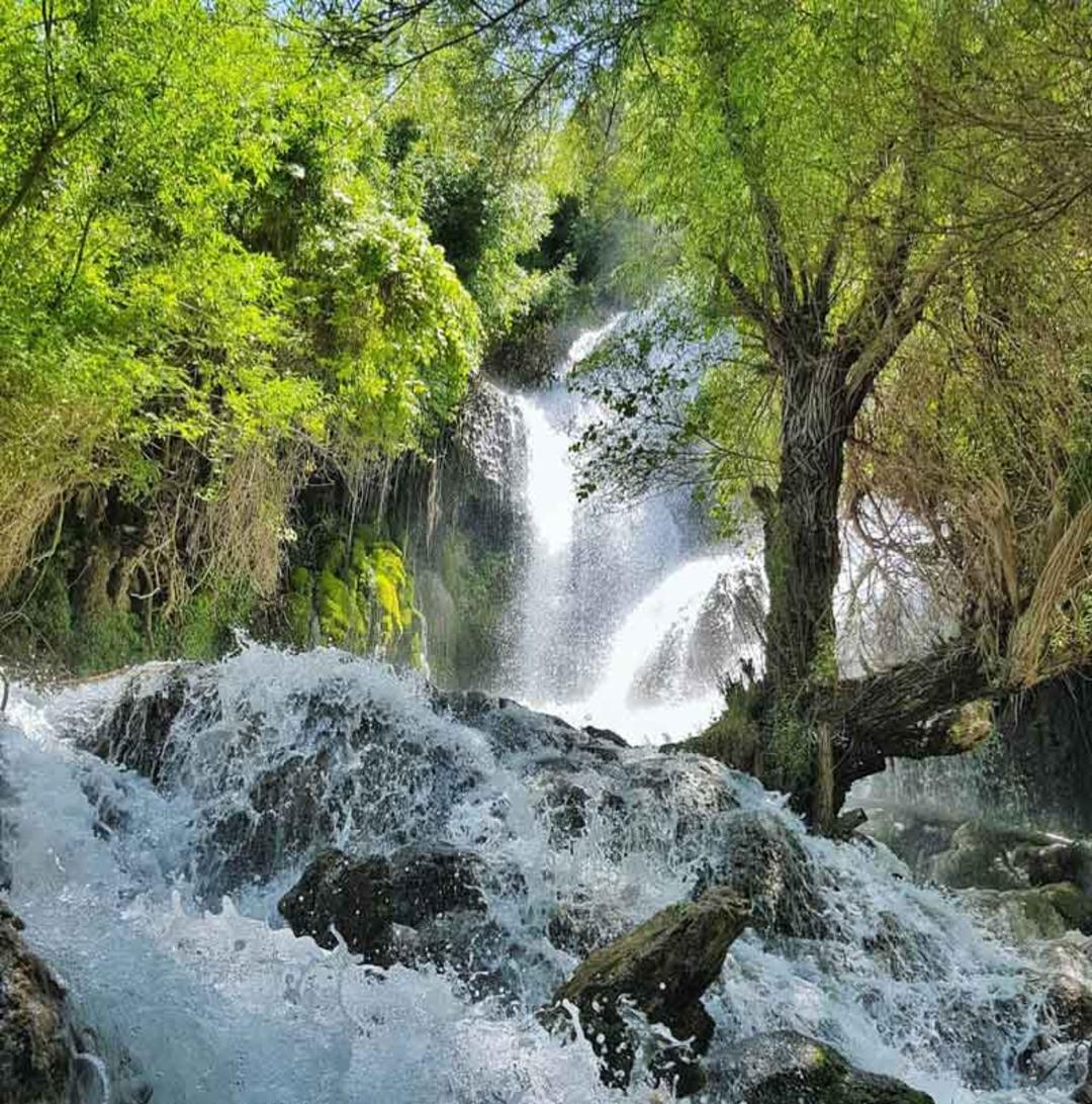 جریان رودخانه خروشان میان درختان جنگل کوهستانی کوهمره سرخی