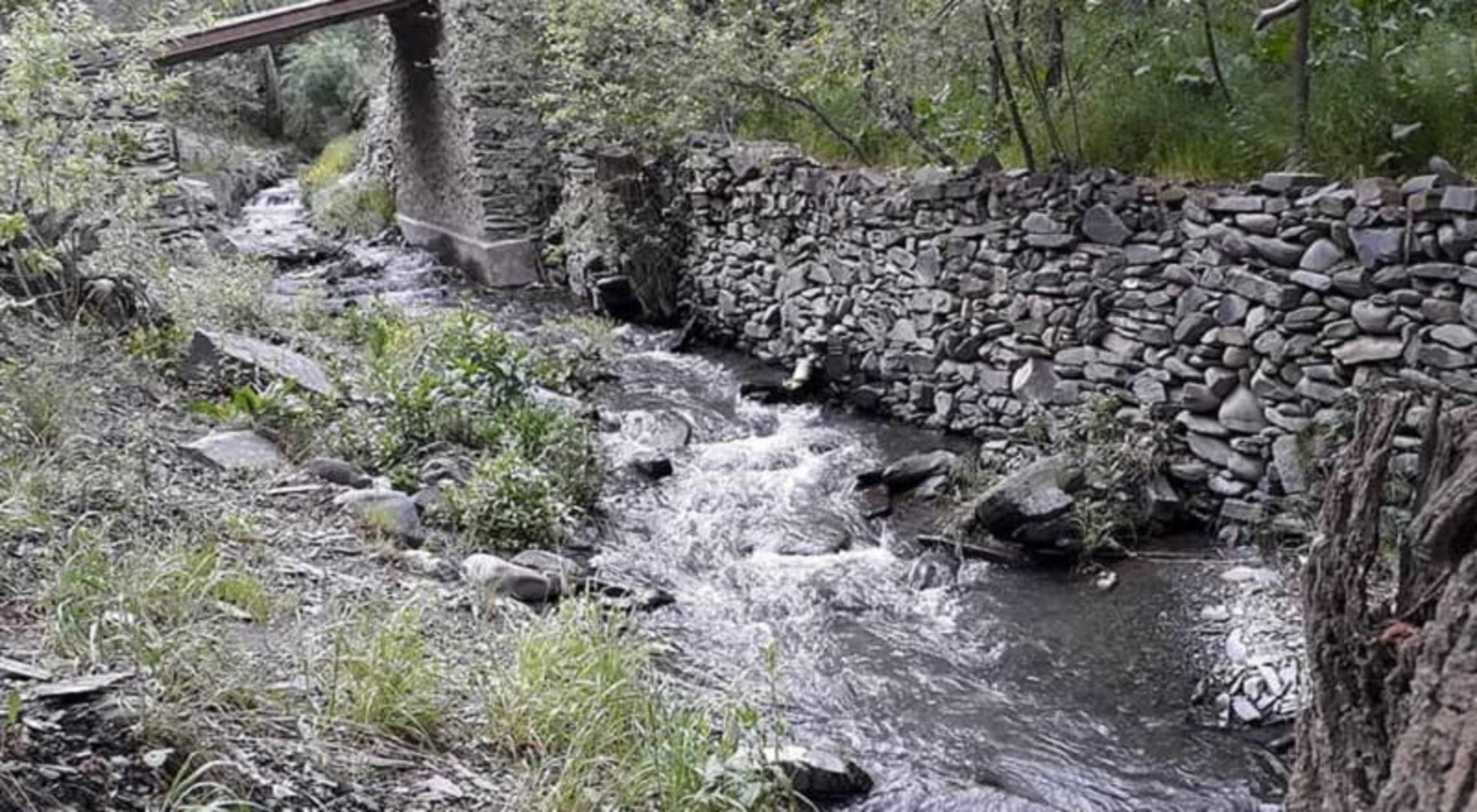 رودخانه زشک