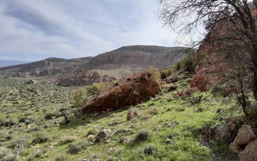 تپه های داخل پارک ملی بختگان در جوار کوهستان