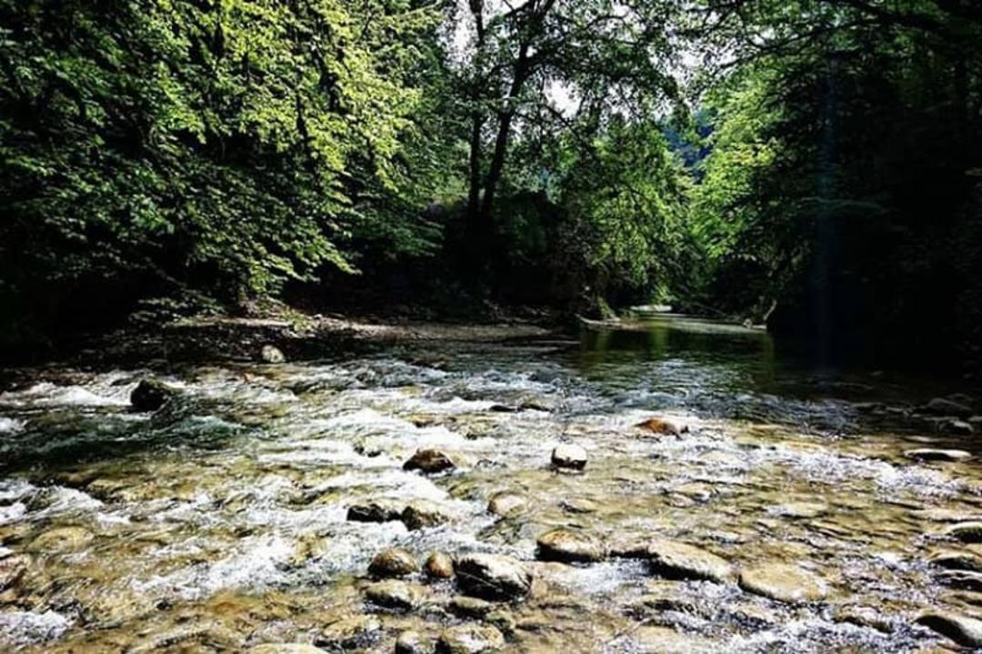 رودخانه سربرج