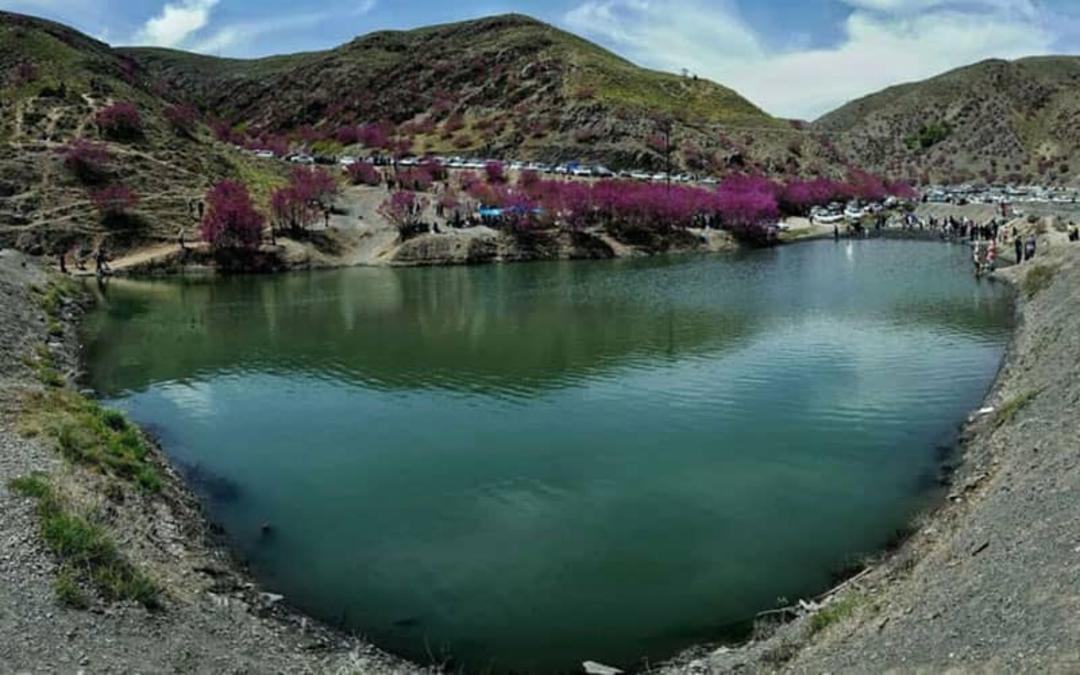 دریاچه ای بزرگ در میان منطقه ای کوهستانی با درختان ارغوانی