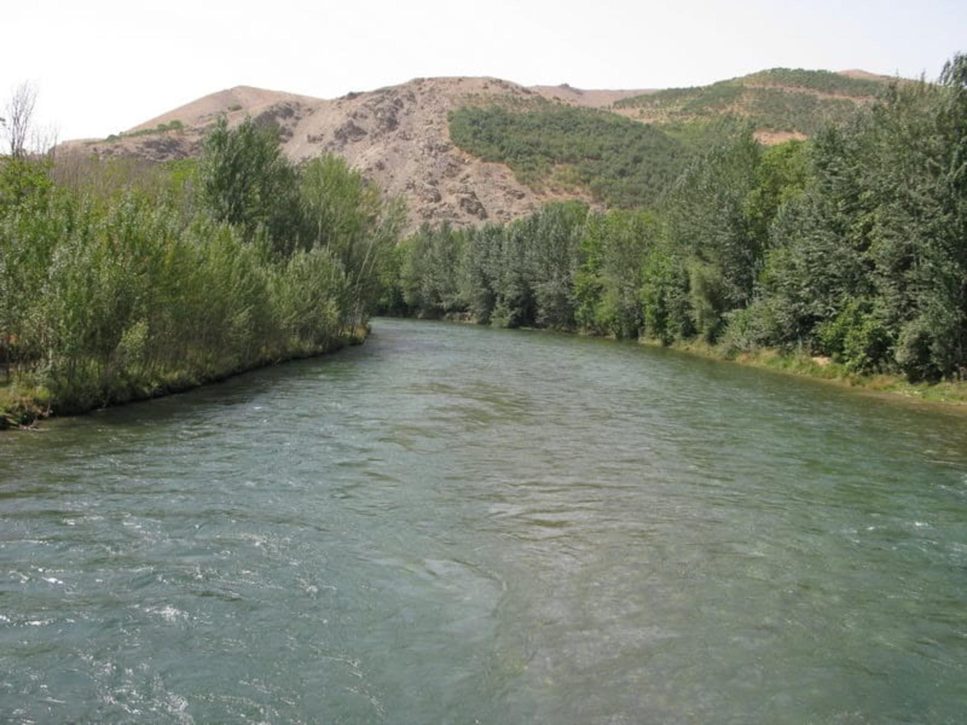 پوشش گیاهی روستای قوچان