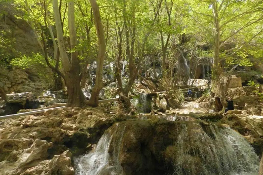 درختان سرسبز و رودخانه تنگ بستانک