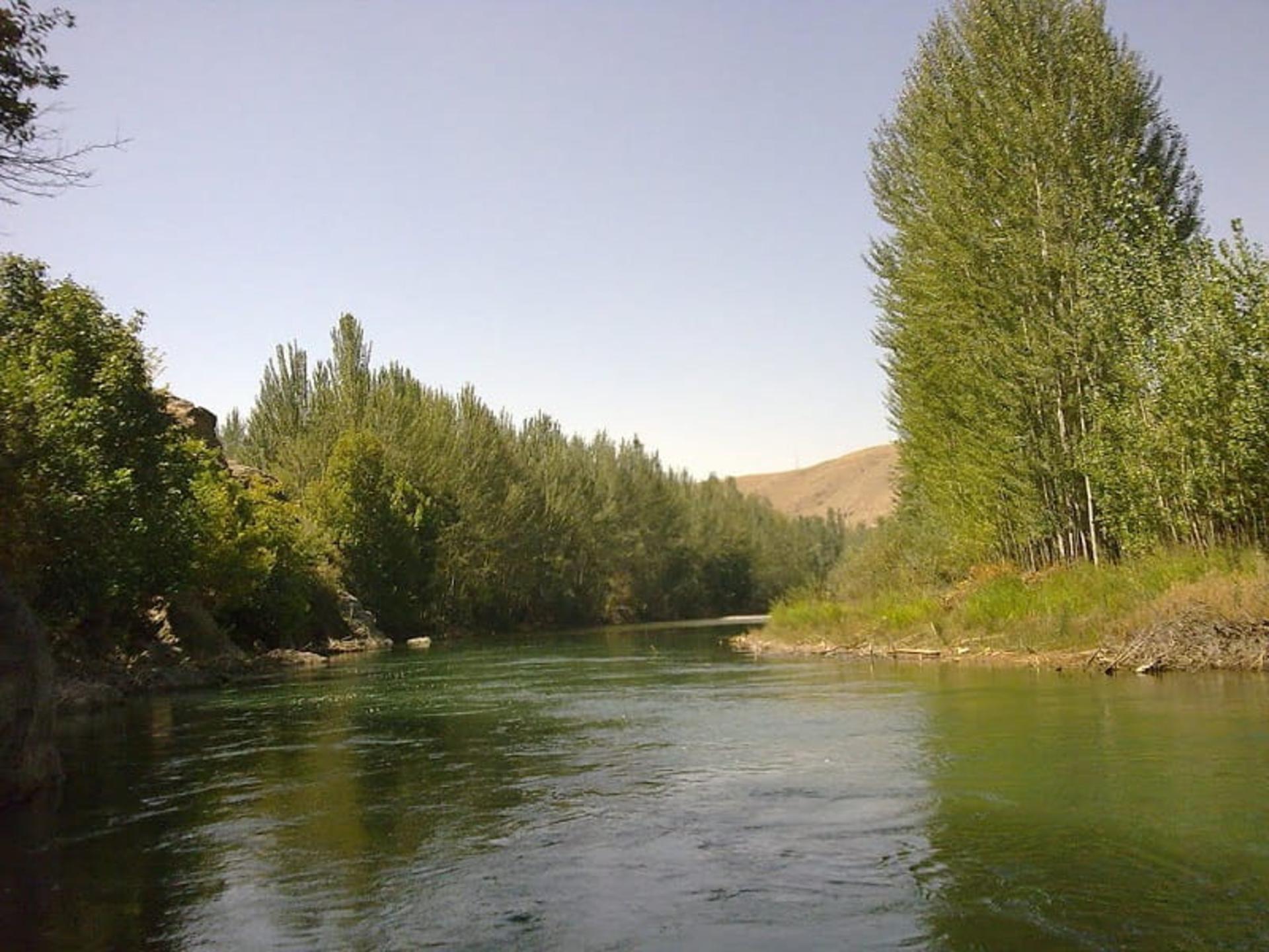 درختان سرسبز در روستای هوره