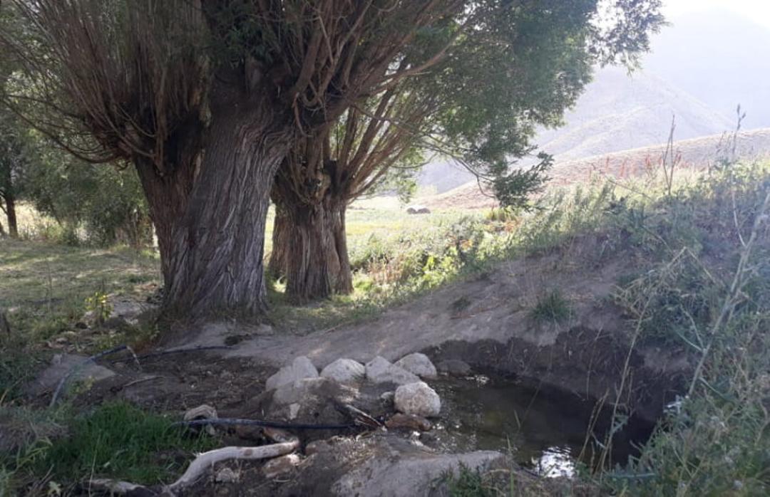 روستای زرمان