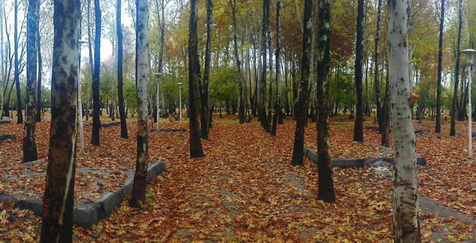 پارک ناژوان