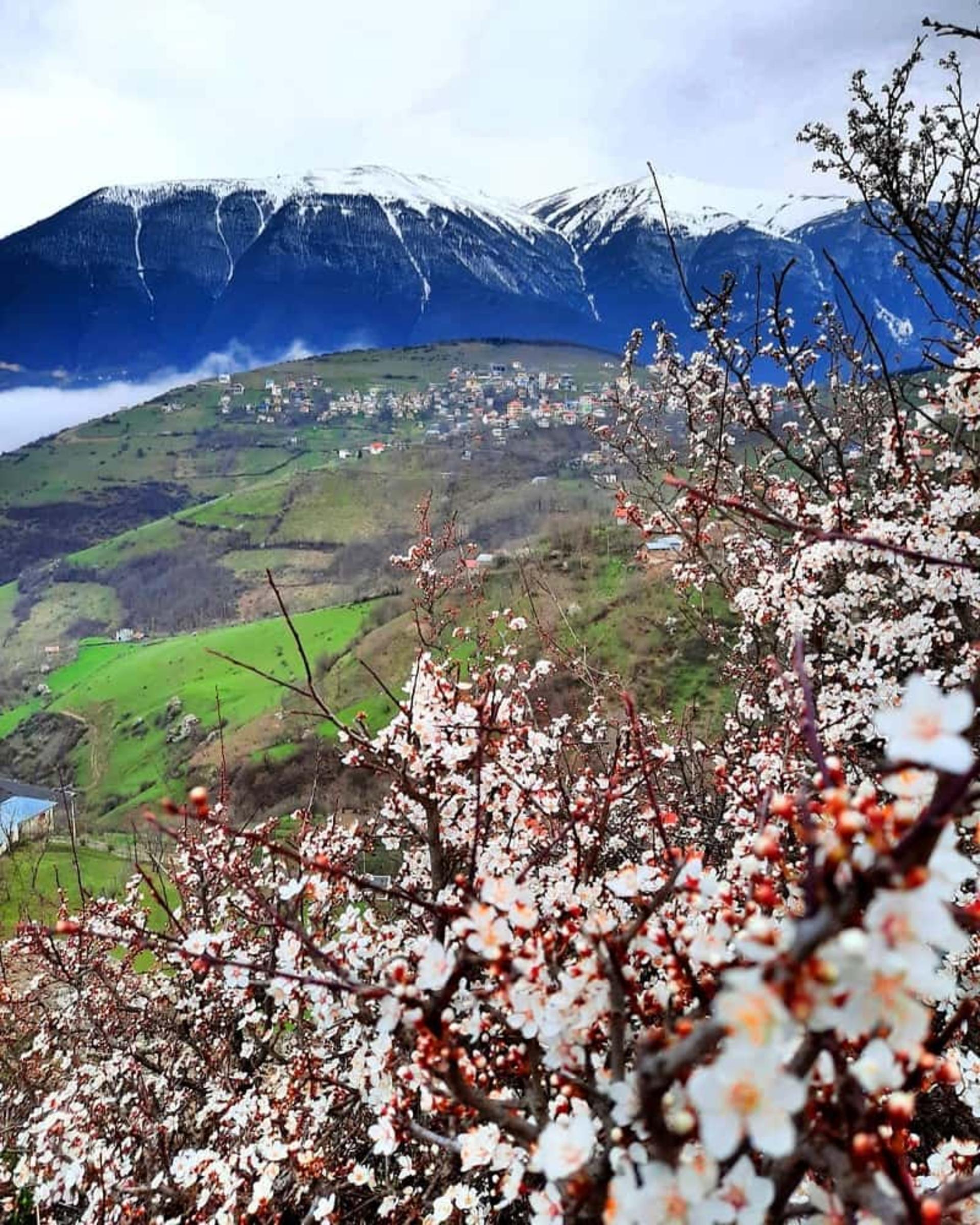 نمایی از ییلاق نمکدره