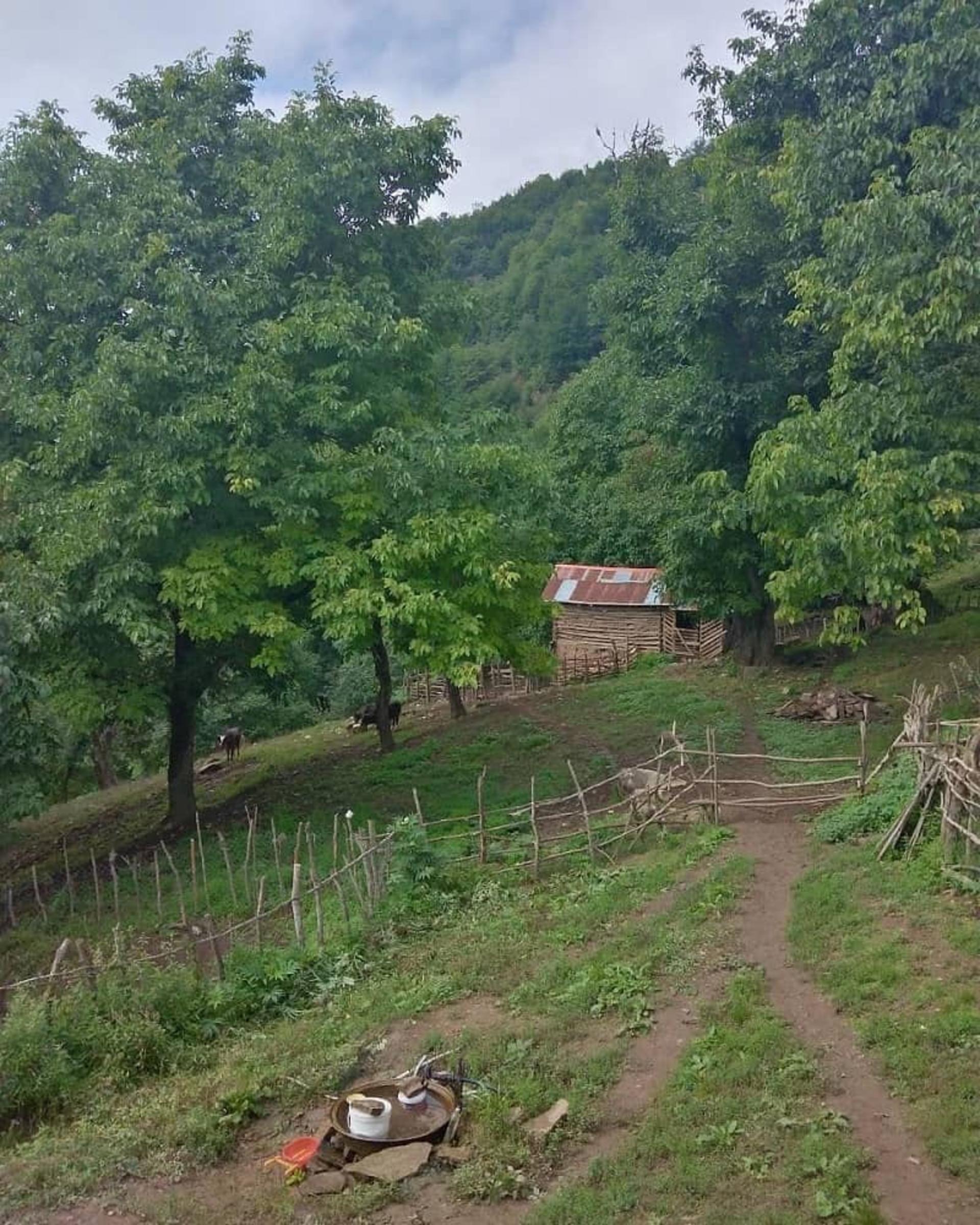 روستای گلین