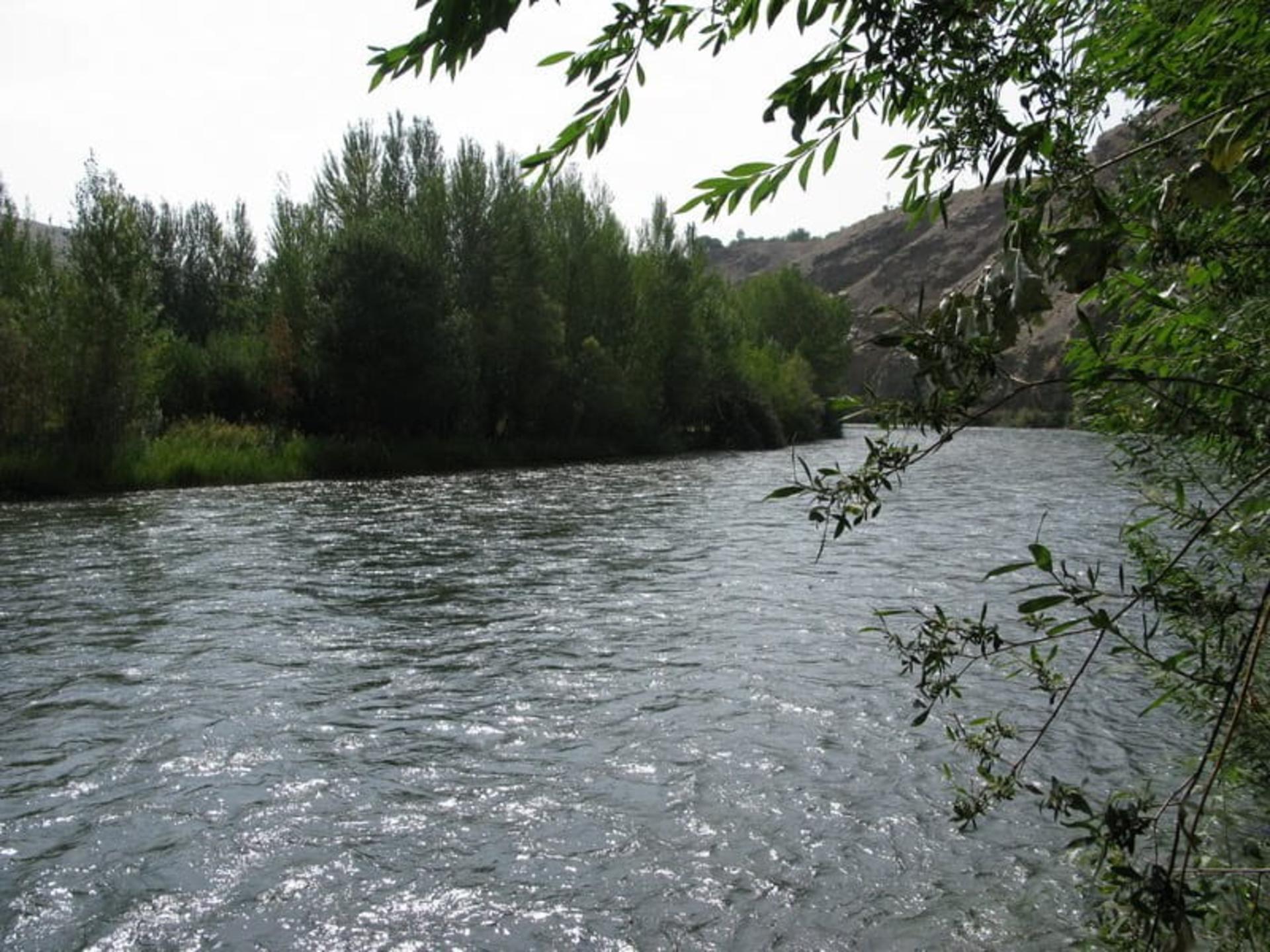 زاینده رود پر آب در روستای قوچان