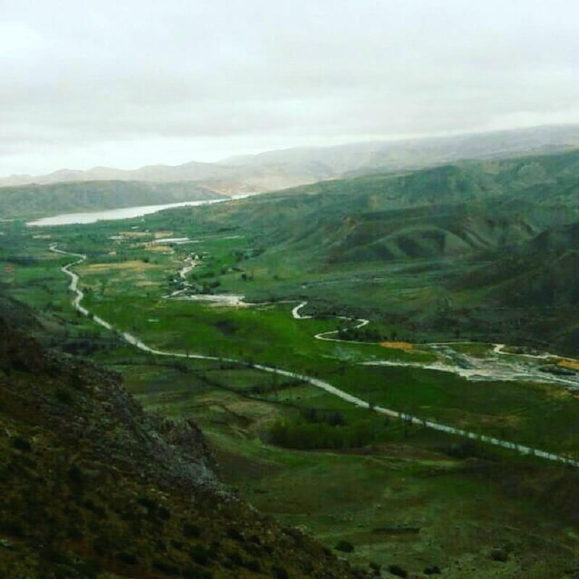 طبیعت تابستانی در روستای سله بن