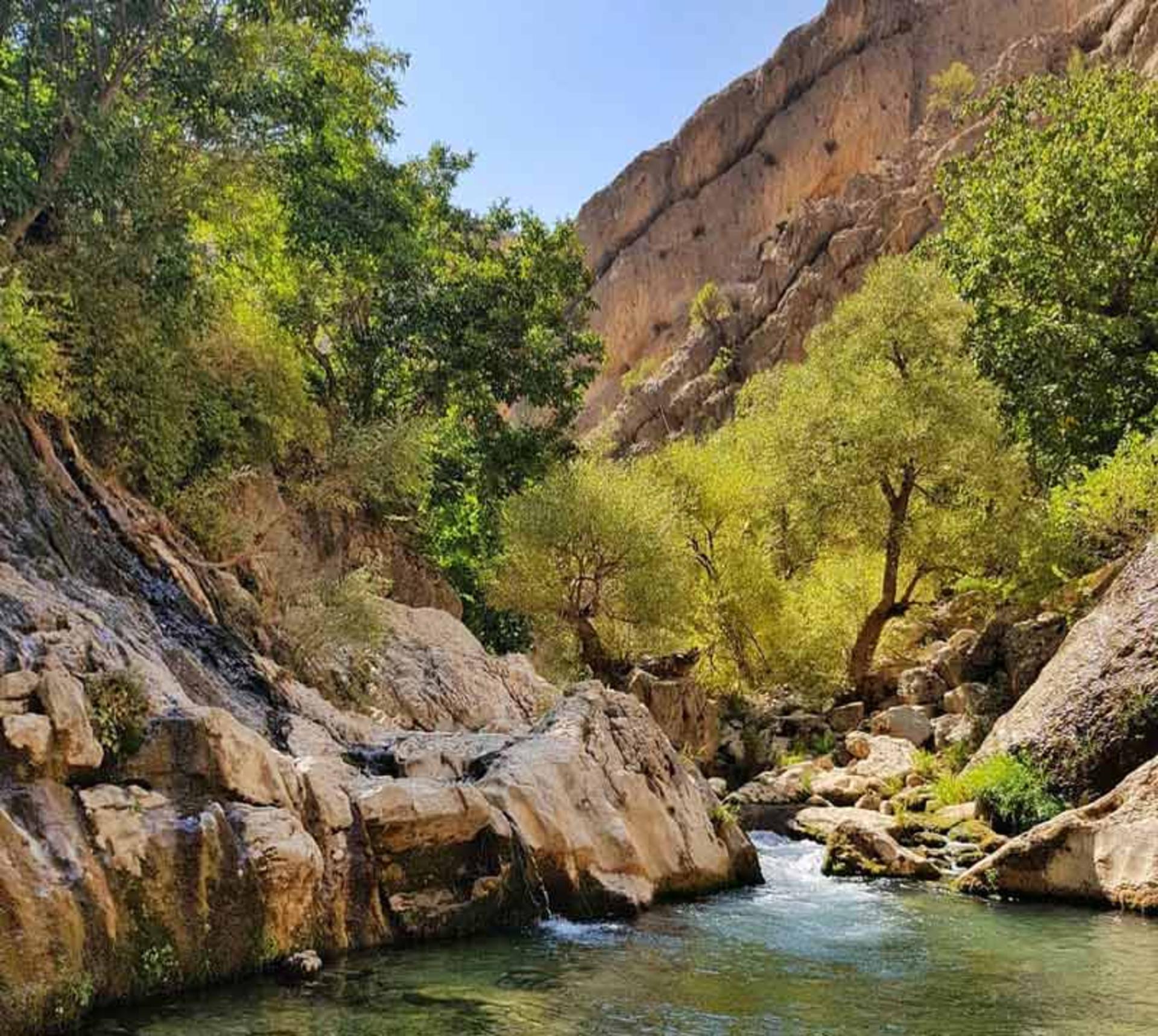 درختان سبز کنار صخره های کوه در تنگ تیزاب
