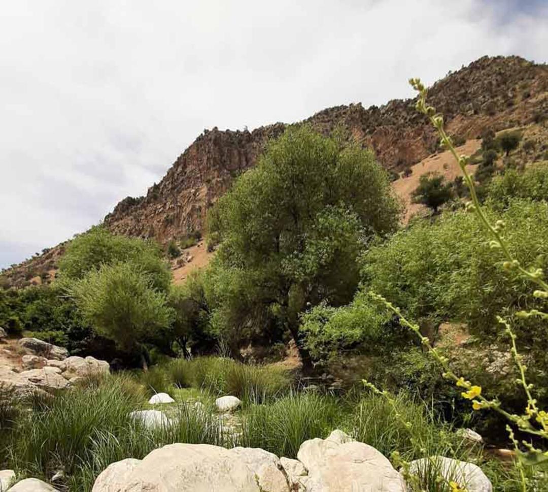کوهستان های سرسبز تنگاب از نمای پایین