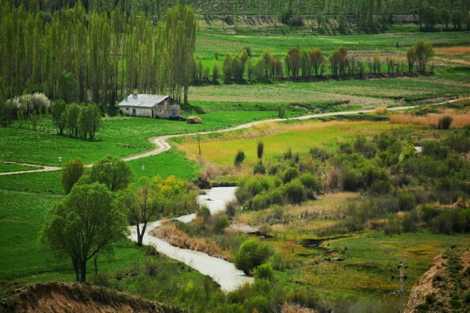 طبیعت سله بن