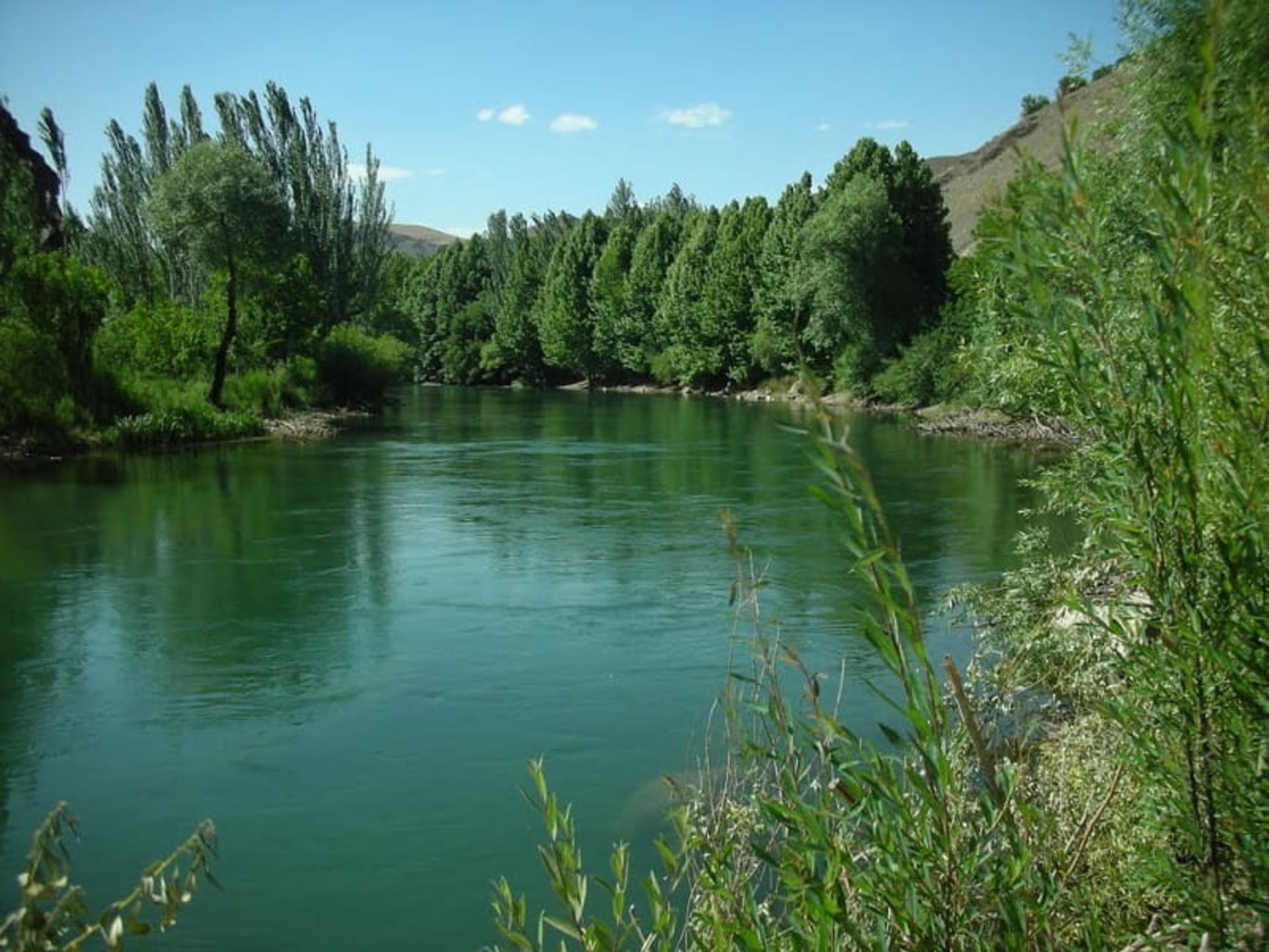 پوشش گیاهی روستای هوره
