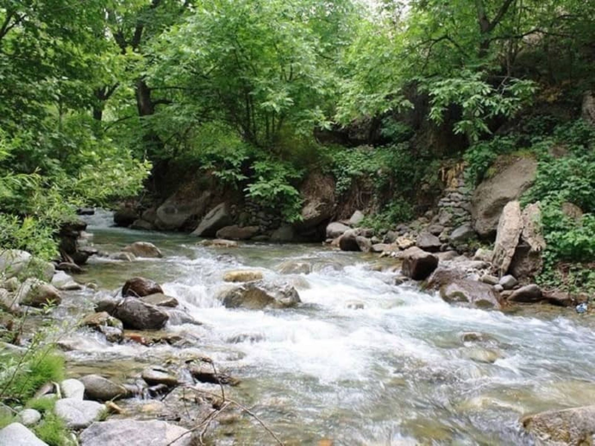 طبیعت برغان