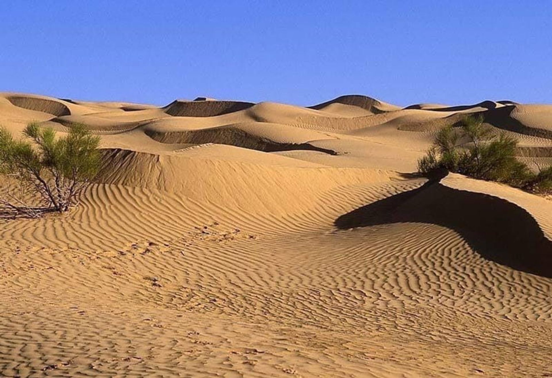 شن های روان در کویر حلوان زیر آسمان ابی