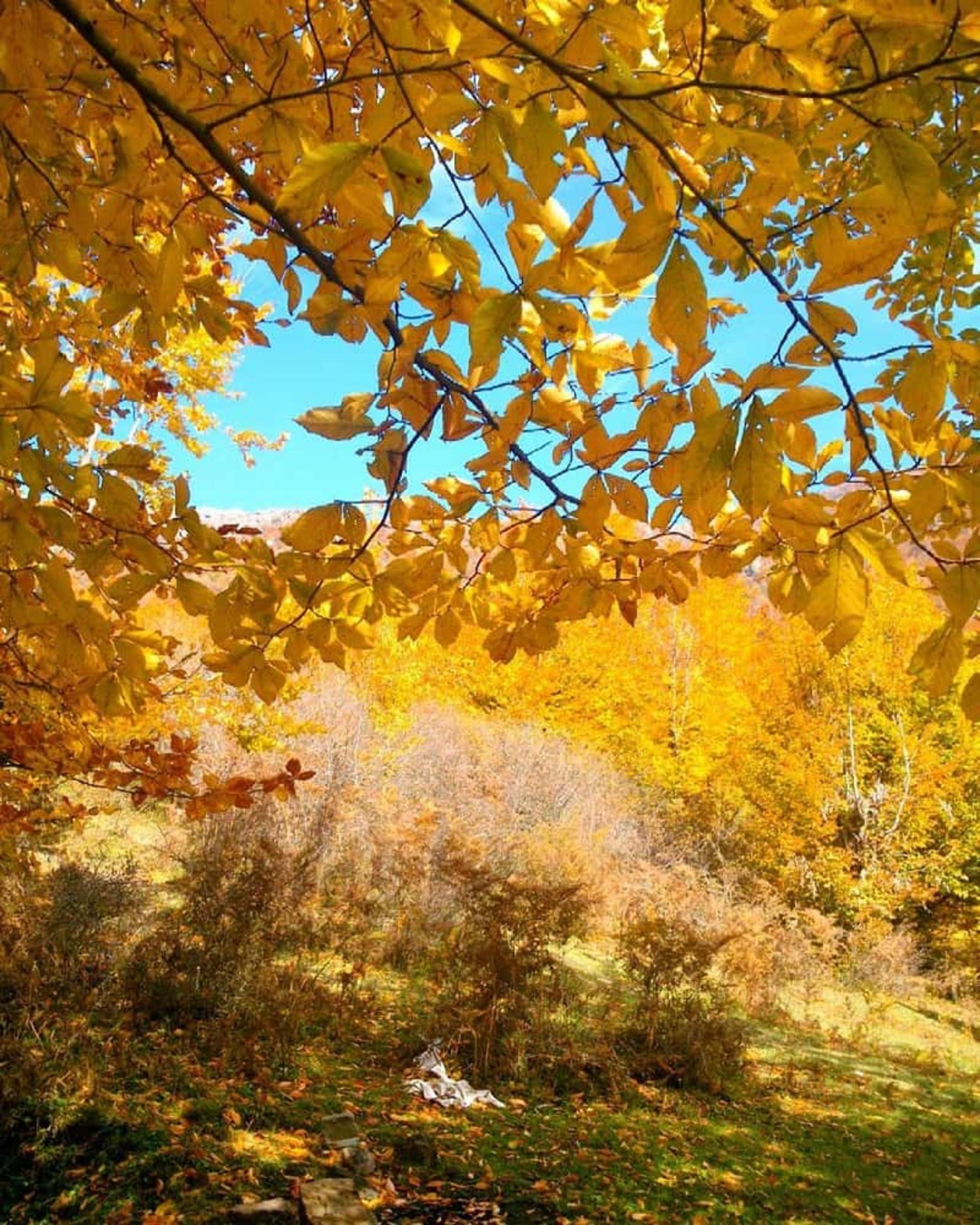 نمکدره به پاییز