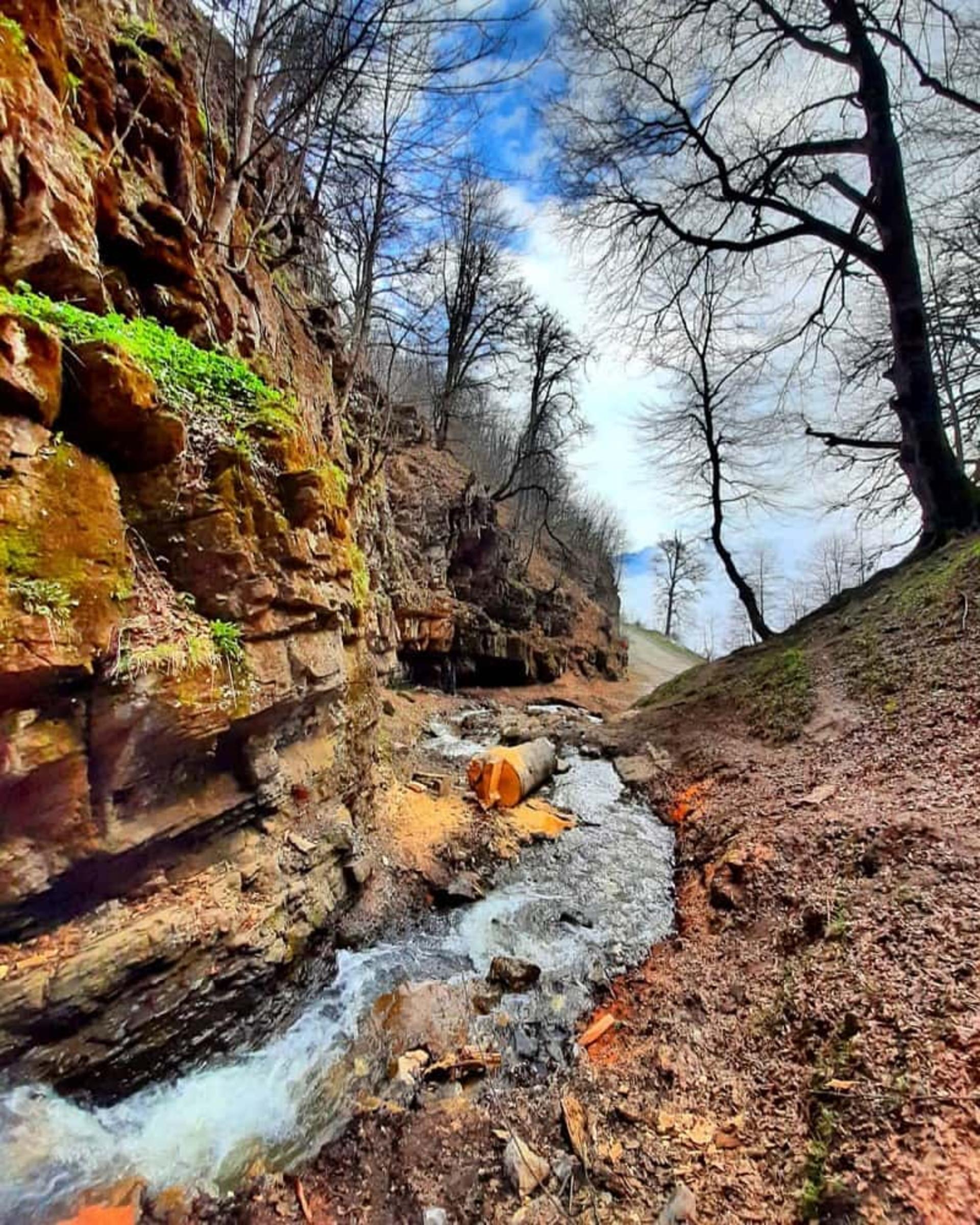رودخانه‌هایی در دل جنگل