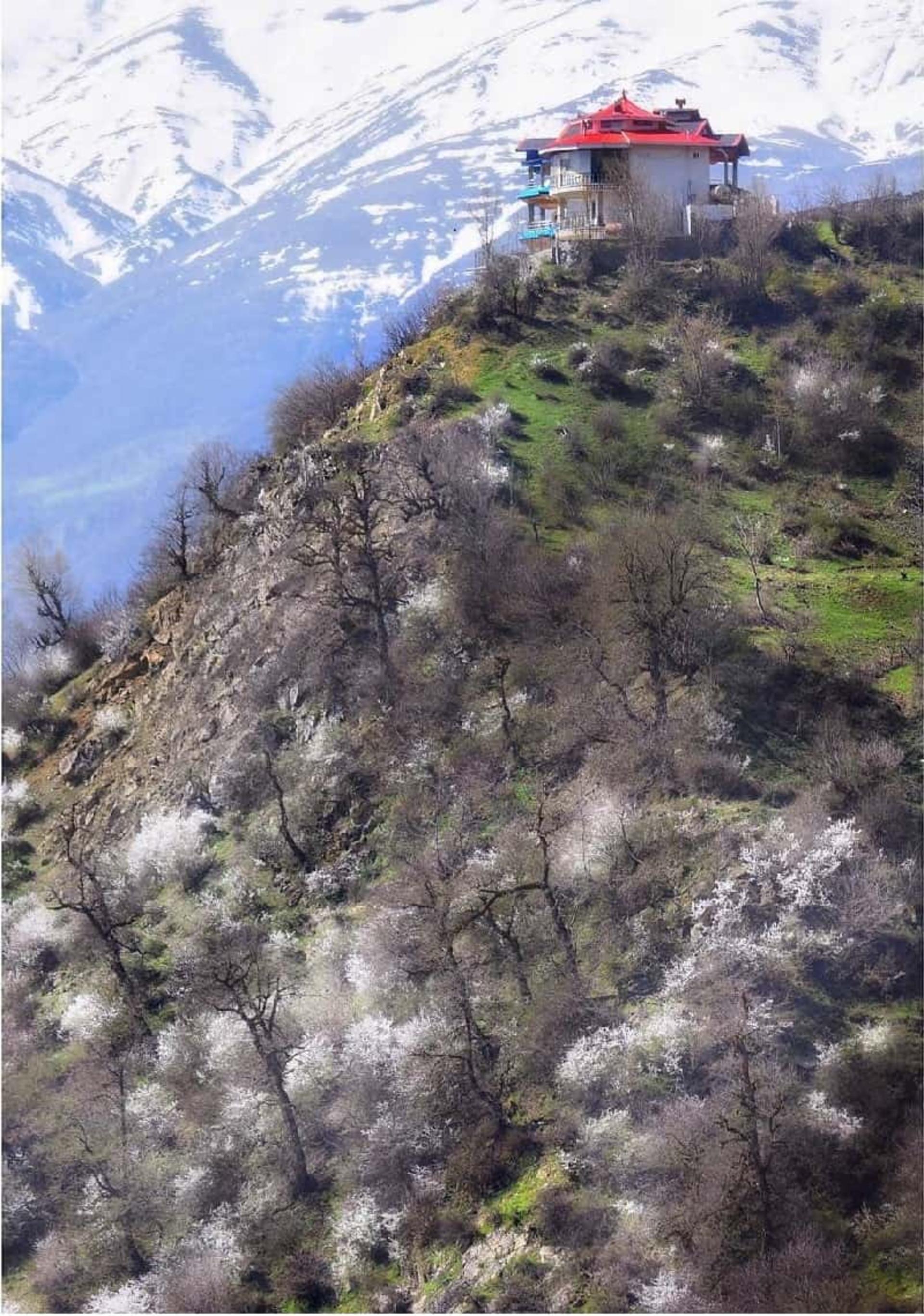 لیماکده