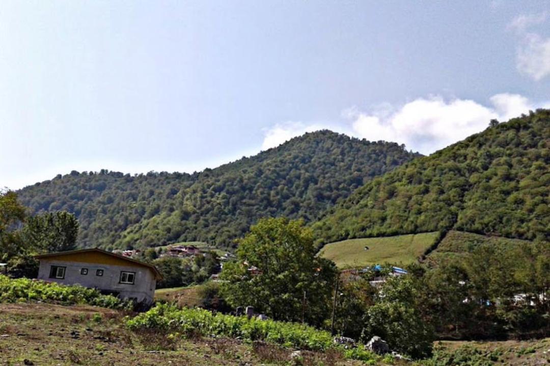 طبیعت لاویج