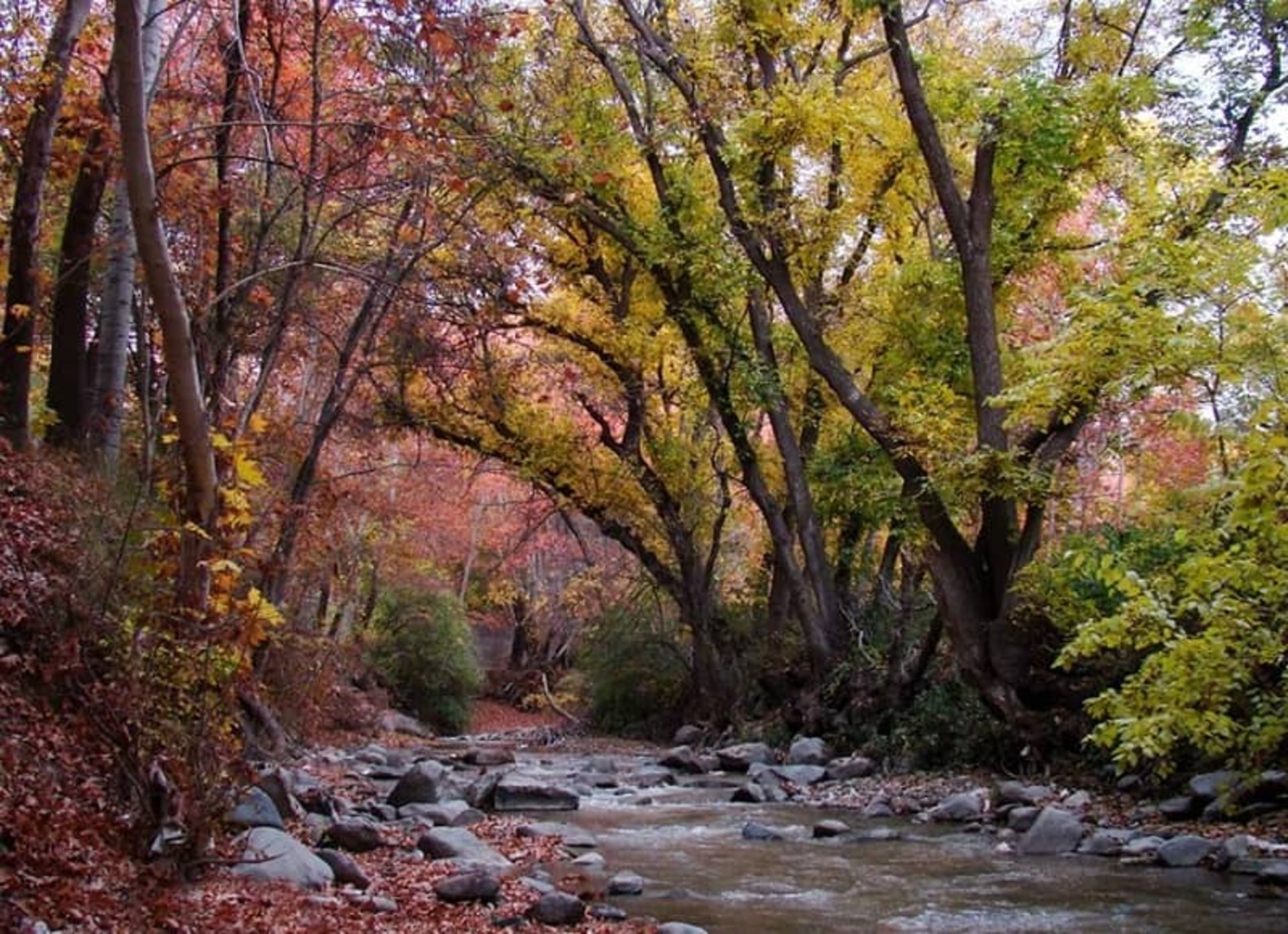 طبیعت پاییزی برغان