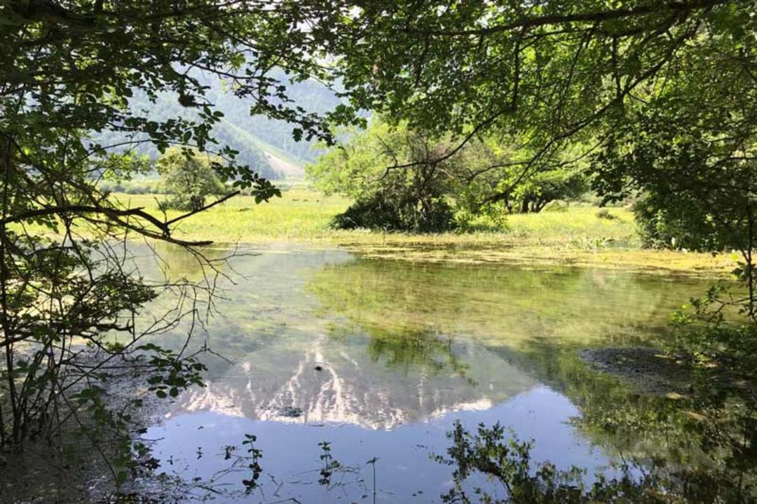 طبیعت بکر دشت دریاسر