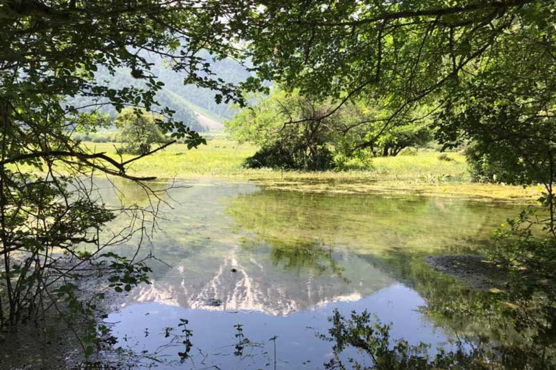 طبیعت بکر دشت دریاسر