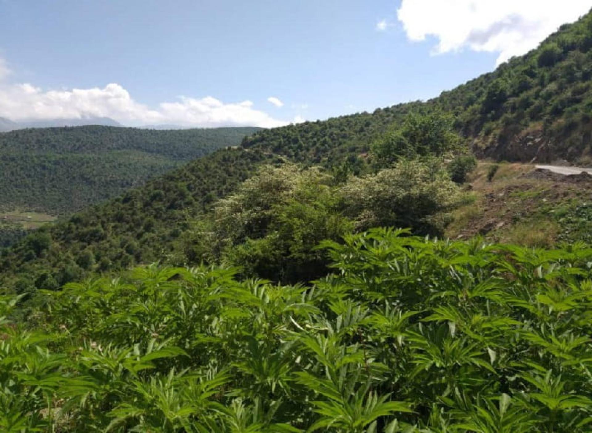 روستای سوادرودبار