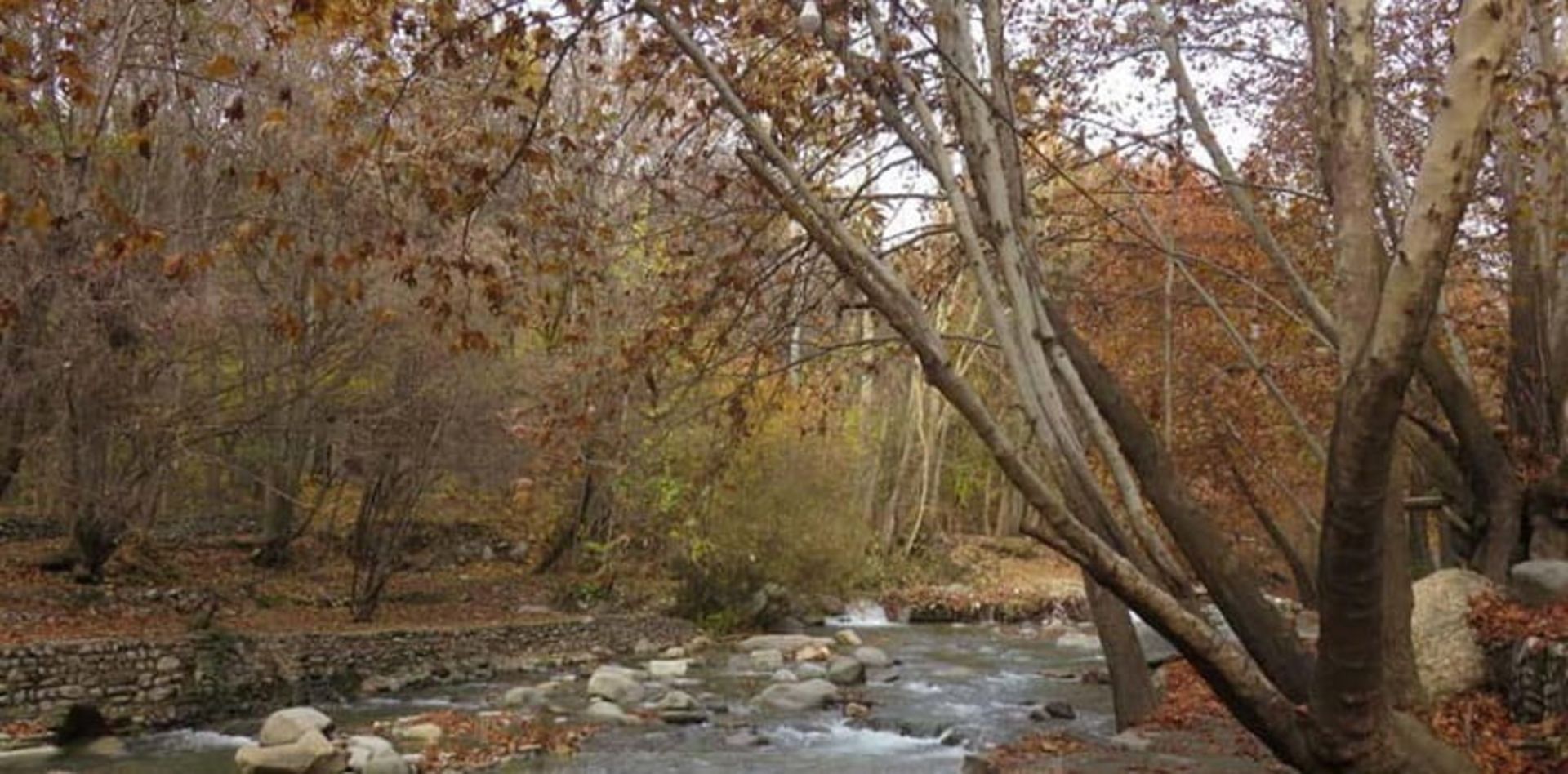 رودخانه روستای برغان کردان