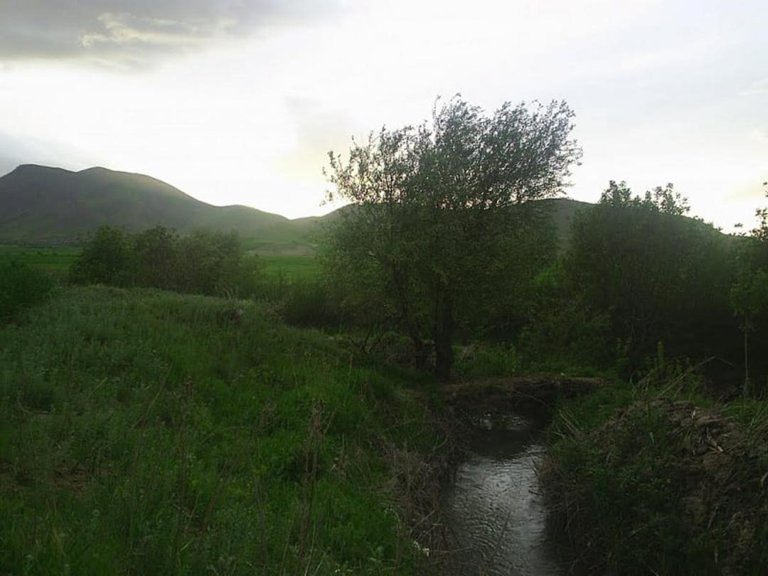 دشت دینور
