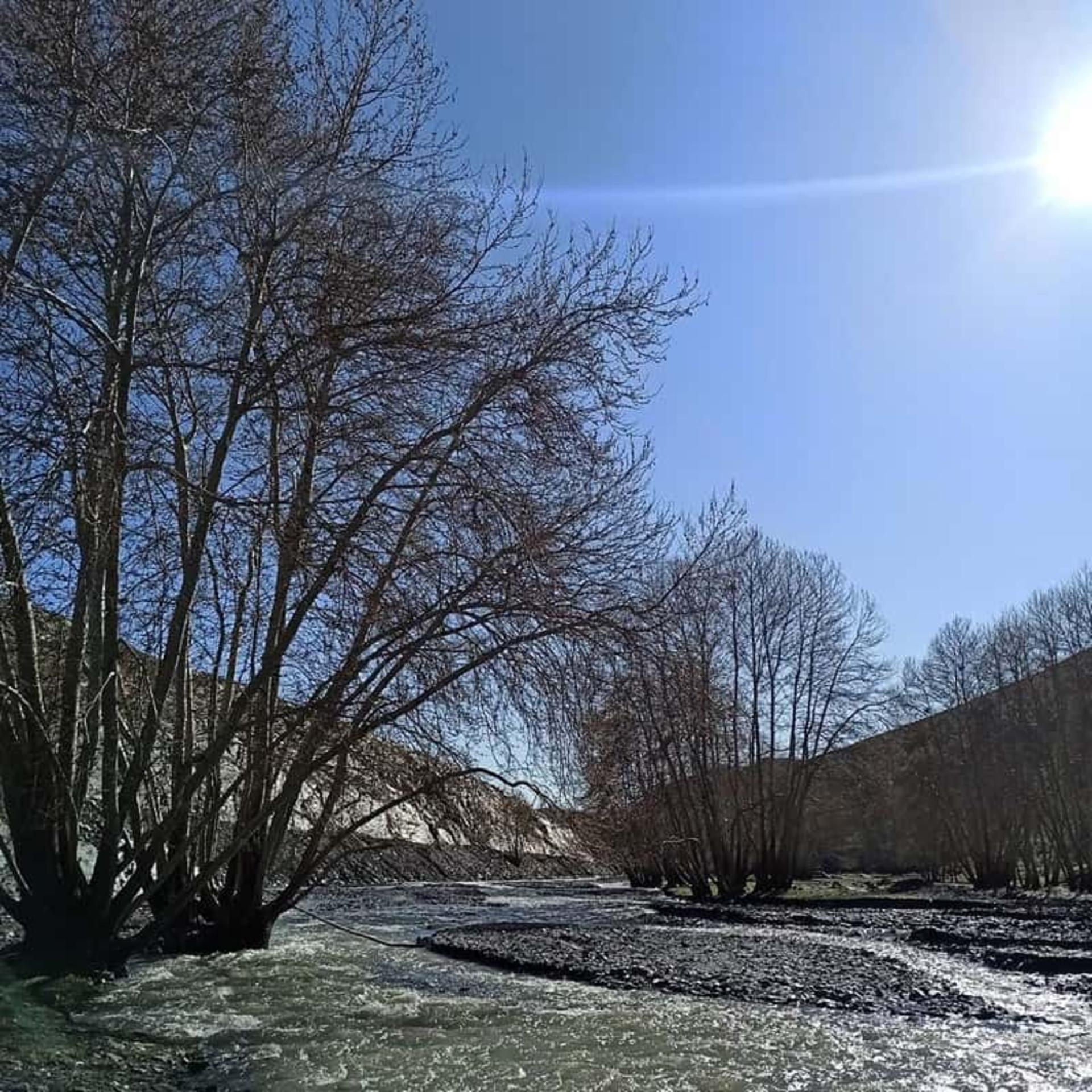 درختان روستای سربرج