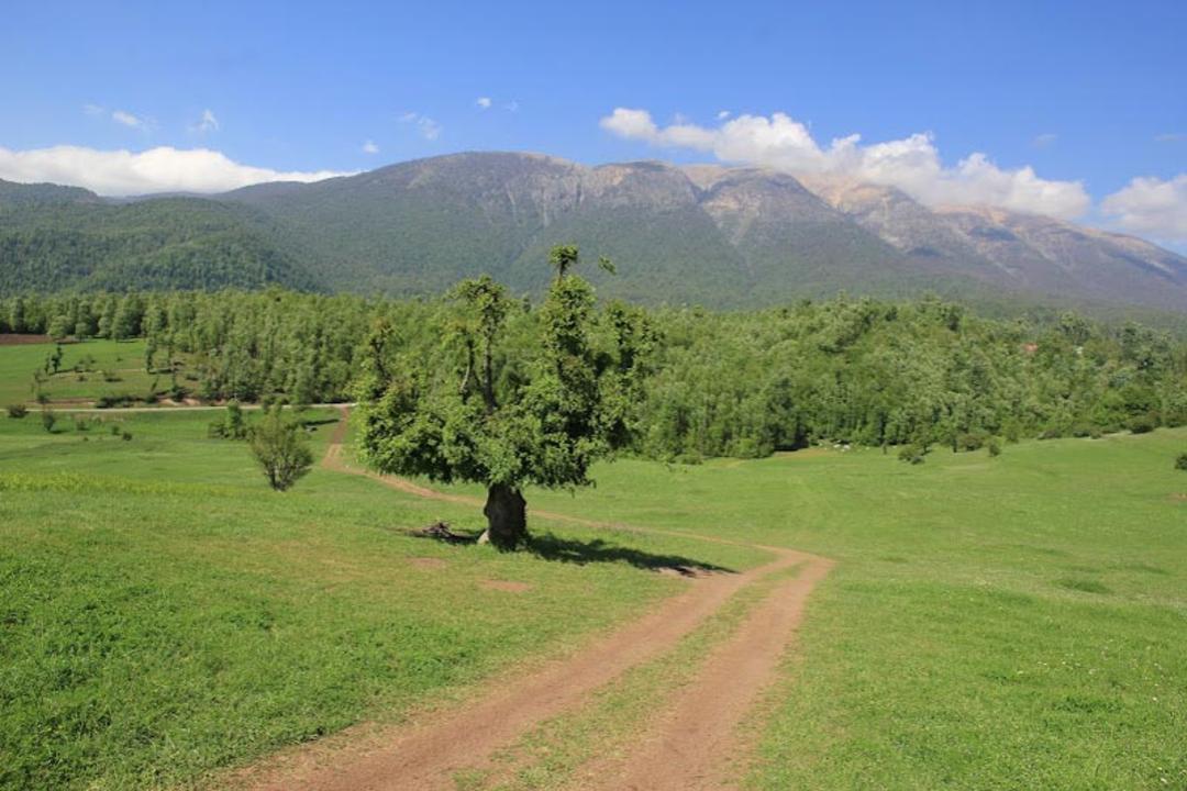 طبیعت‌گردی در قله درفک