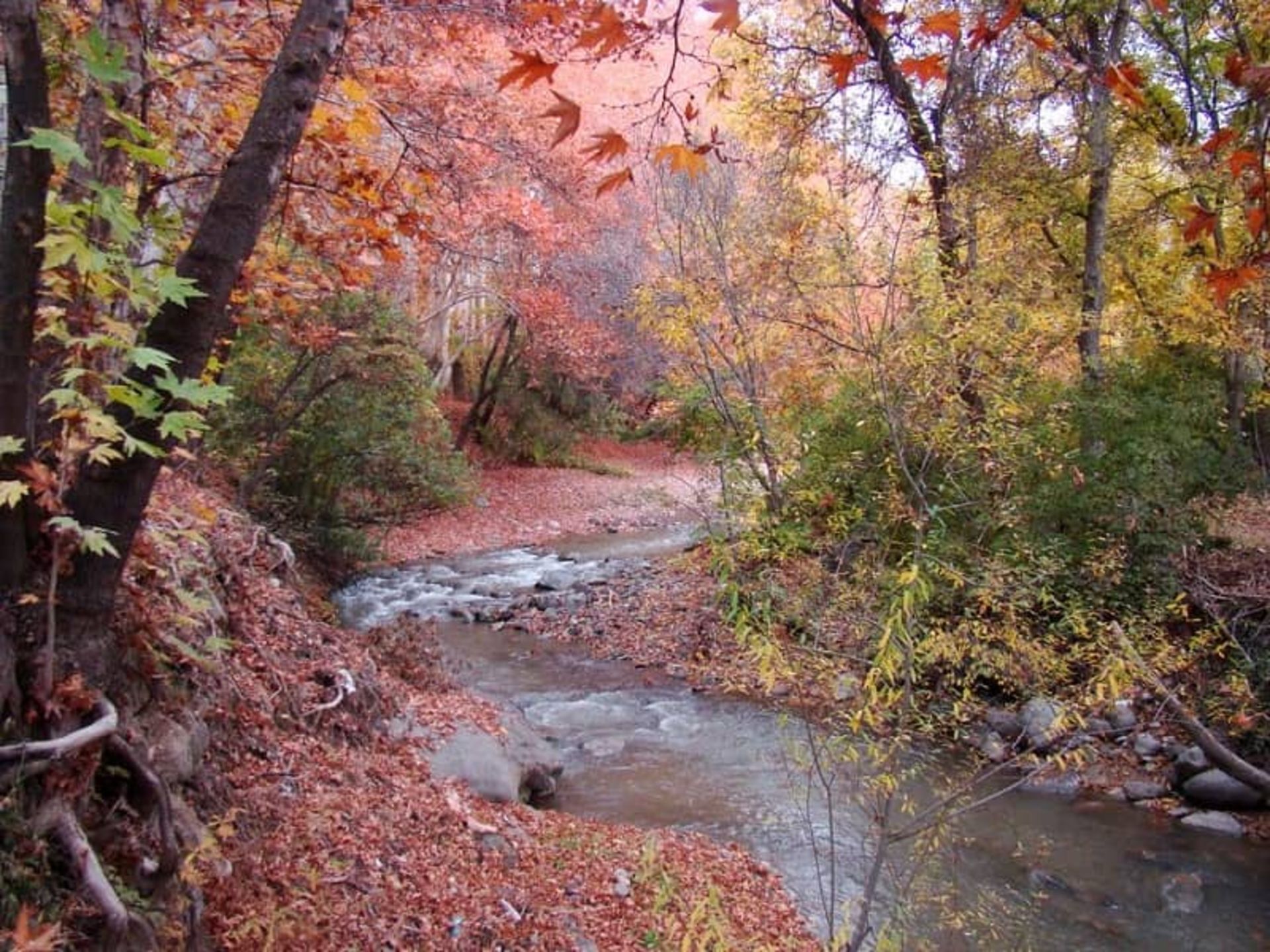 پاییز برغان