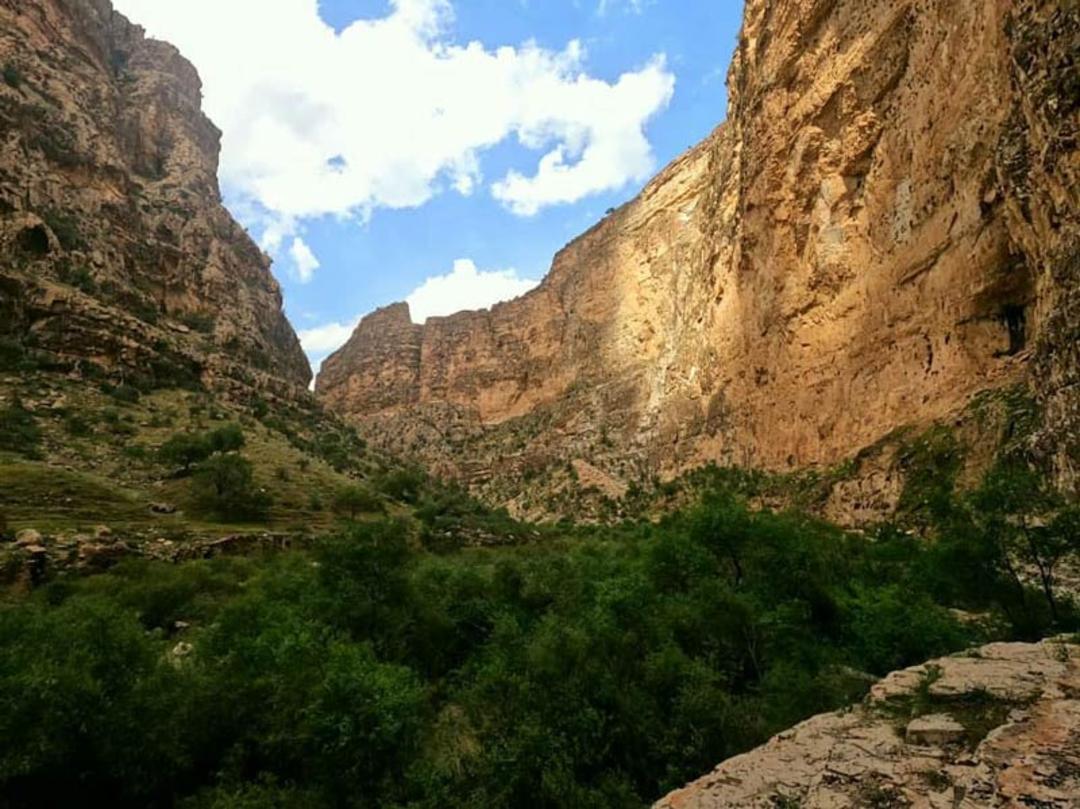 درختان سبز و آسمان آبی پر ابر در تنگه هایقر شیراز