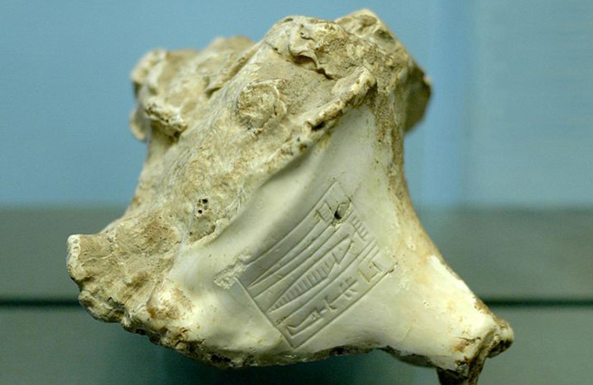 صدف‌نوشته اکدی