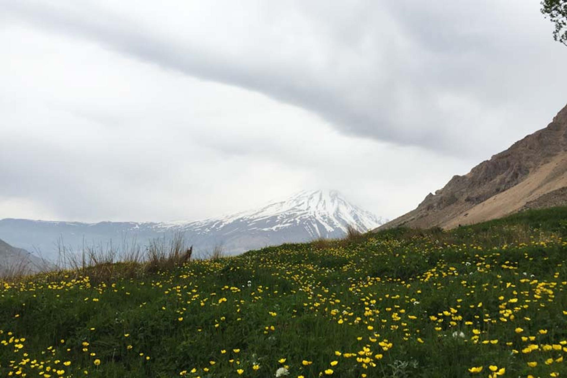 زیبایی‌های طبیعت روستای نوا